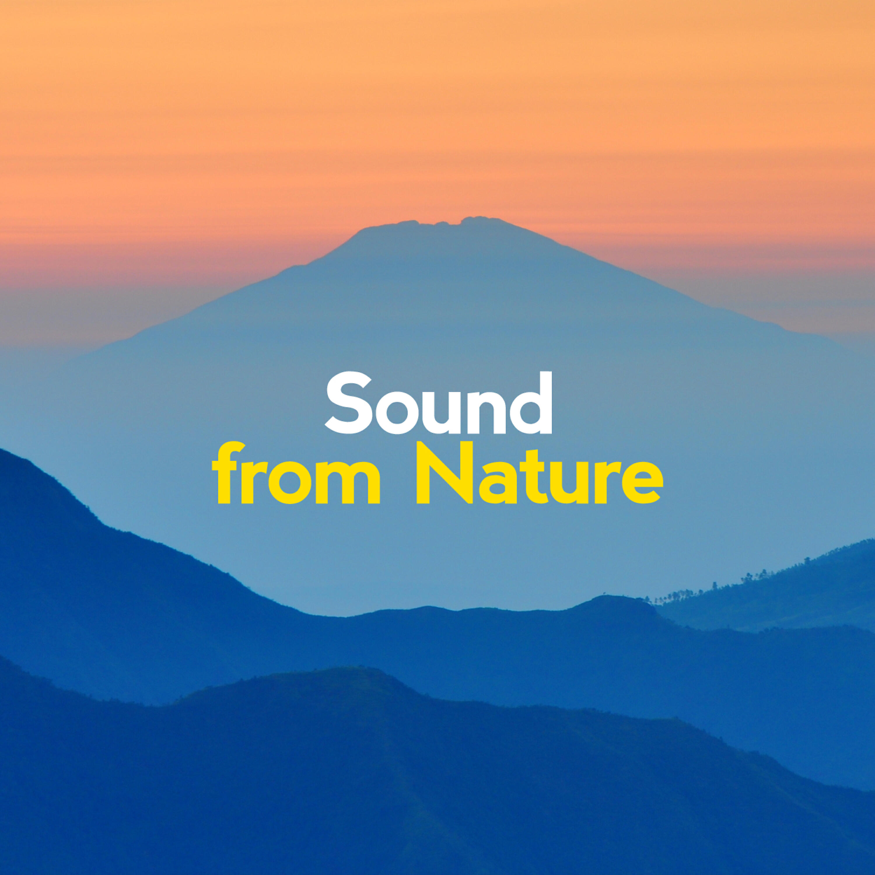 Релиз Sound from Nature