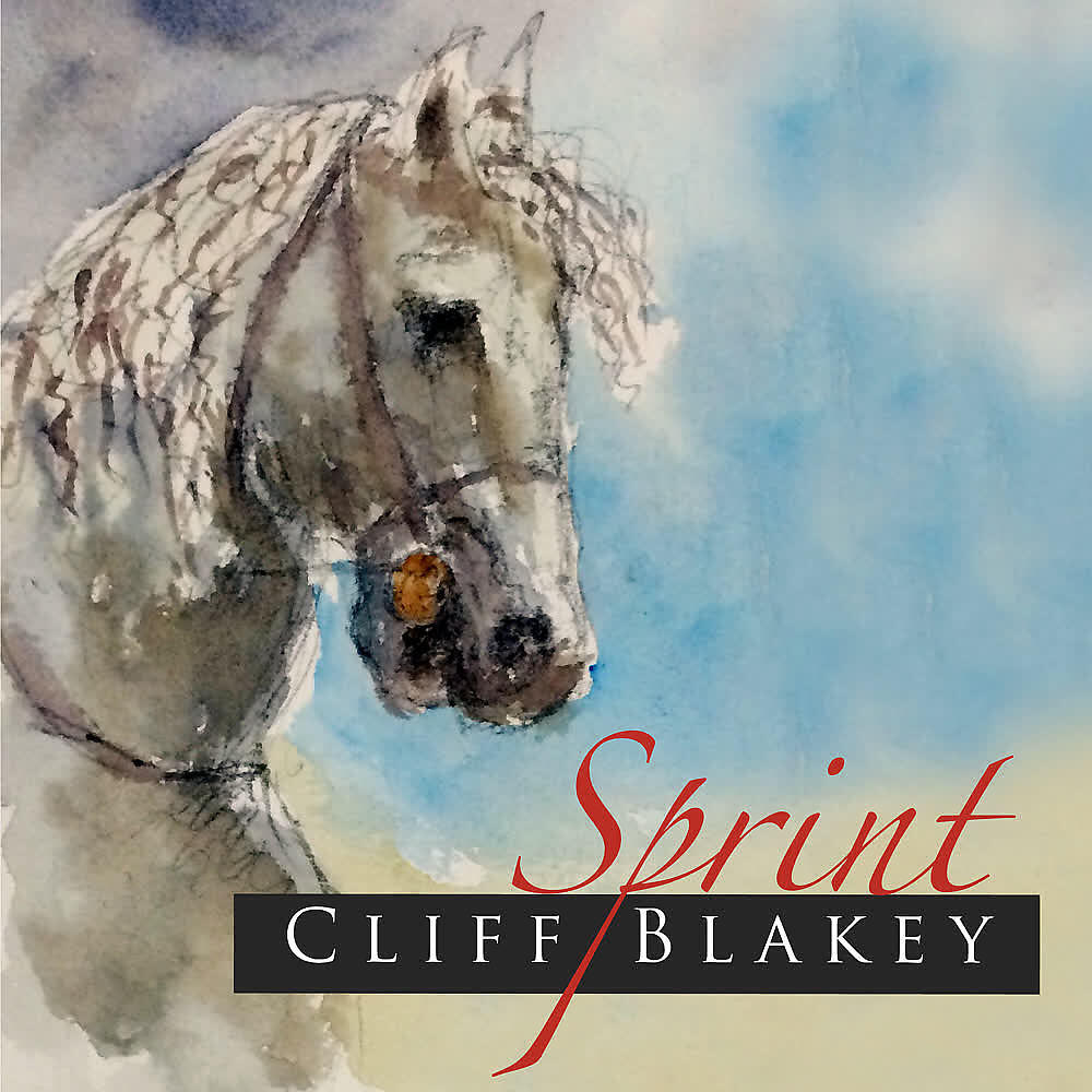 Релиз Sprint
