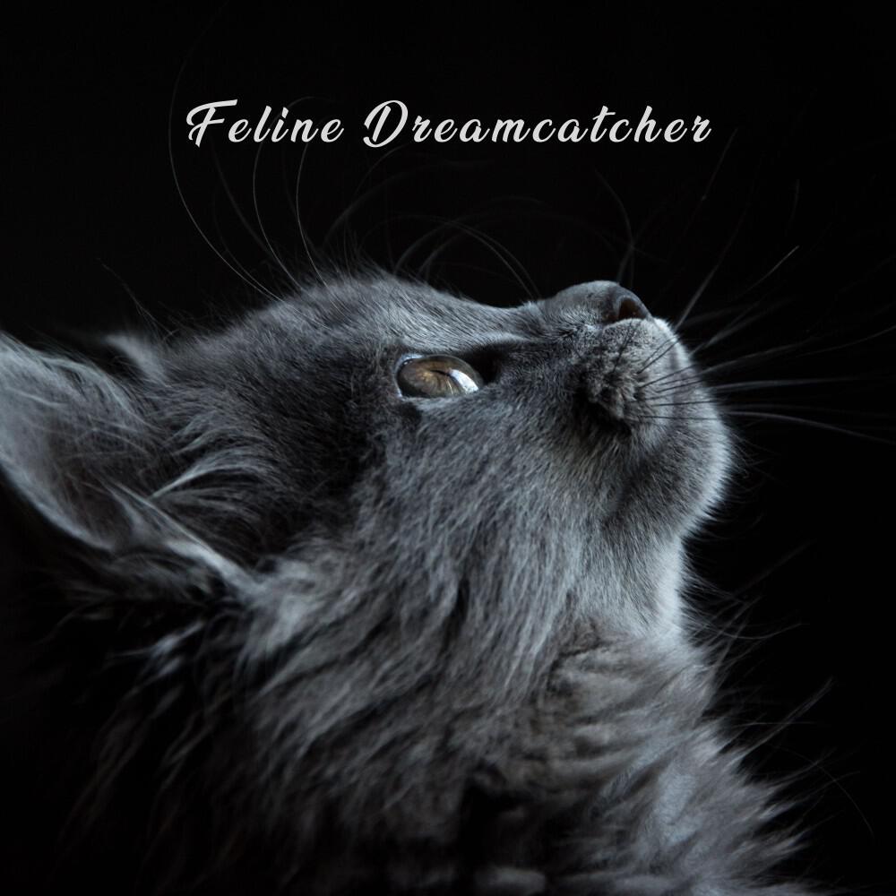 Релиз Feline Dreamcatcher