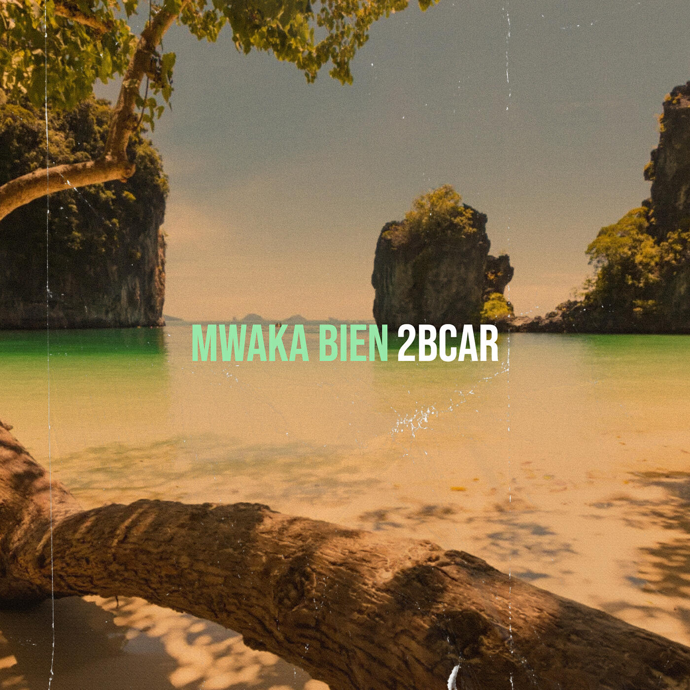 Релиз Mwaka bien