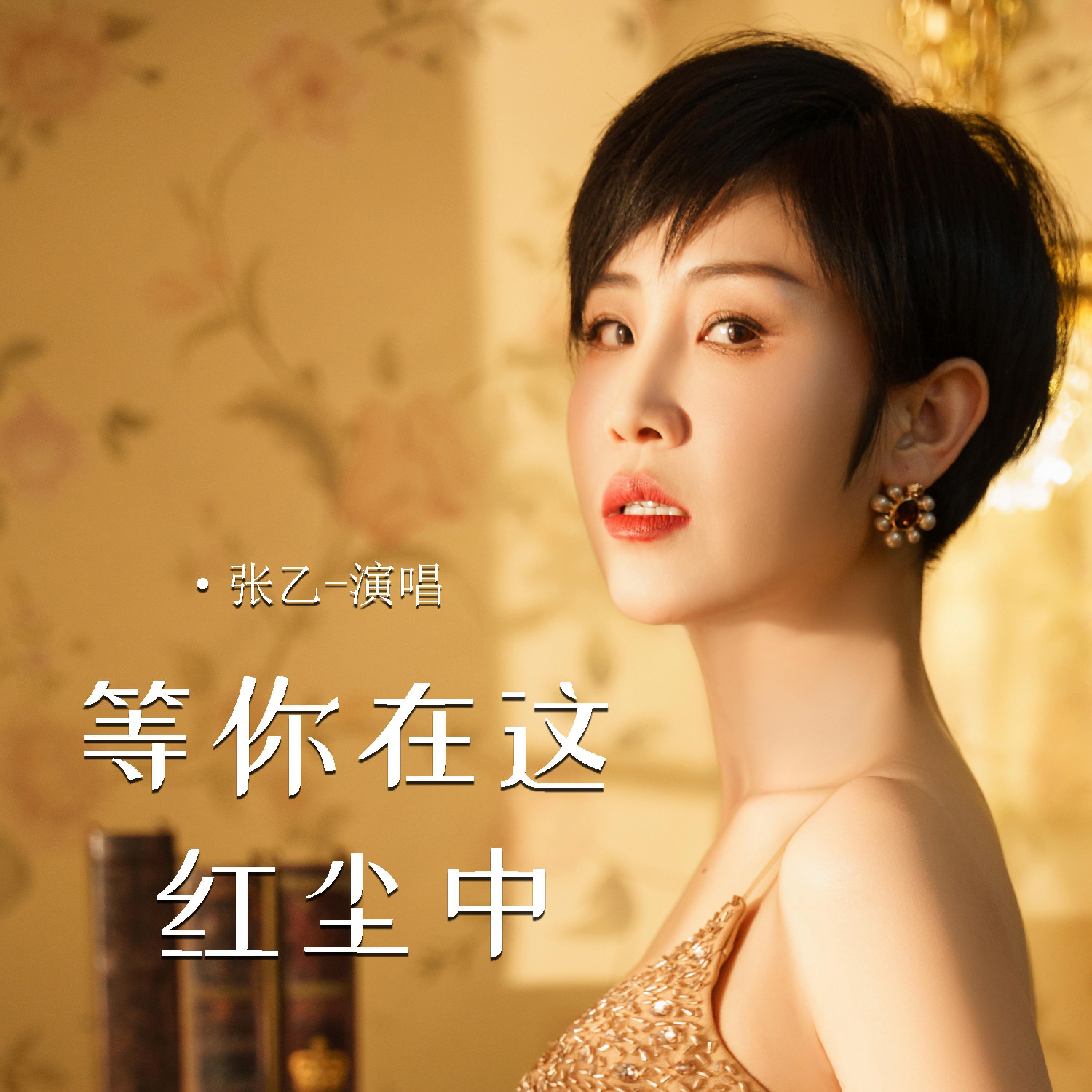张乙
