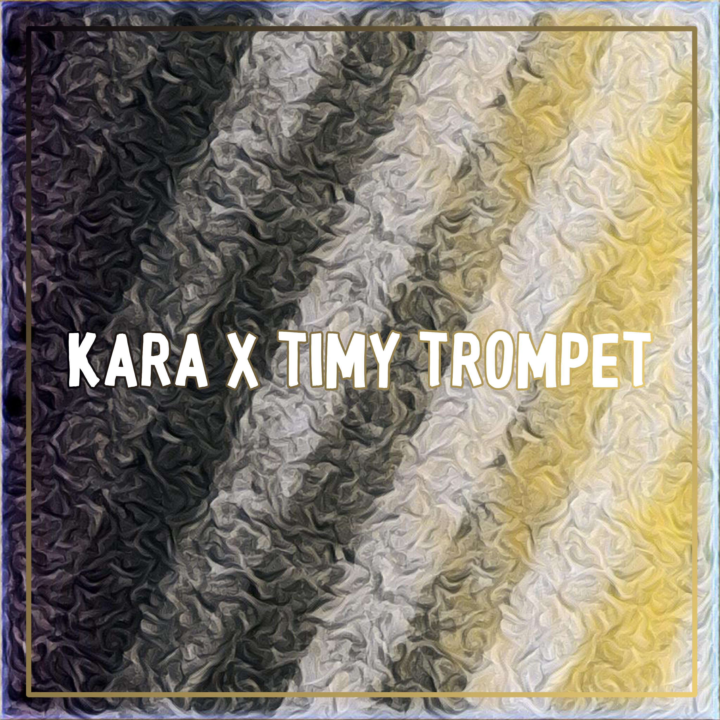Релиз KARA / TIMY TROMPET