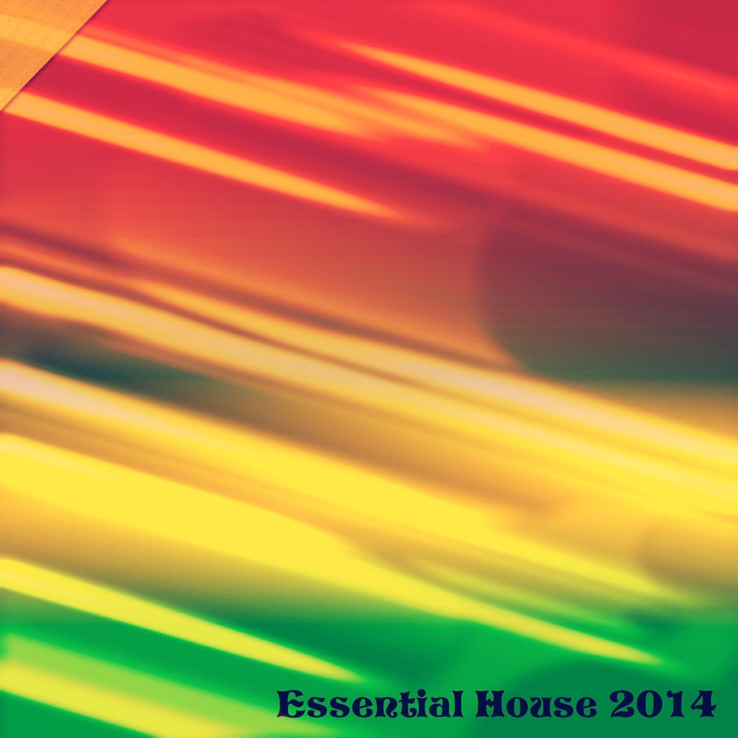 Релиз Essential House 2014
