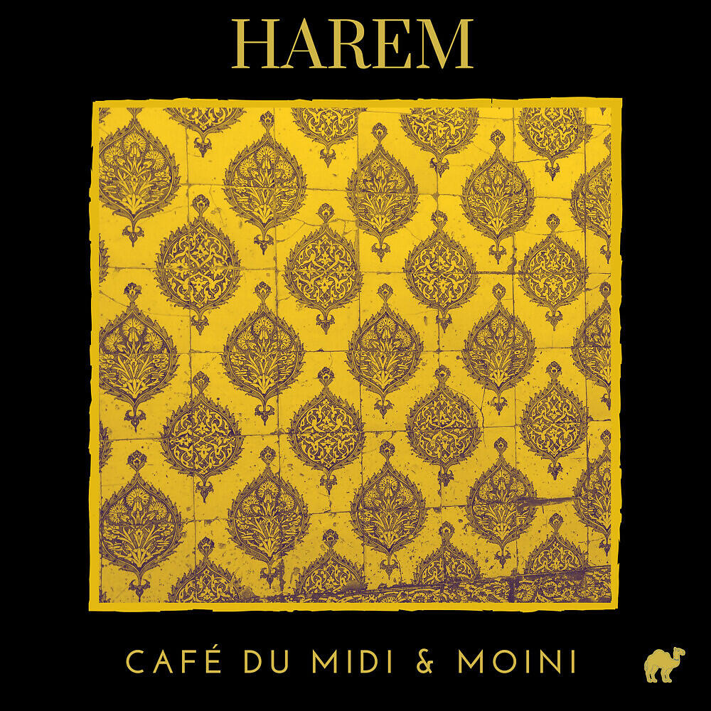 Релиз Harem
