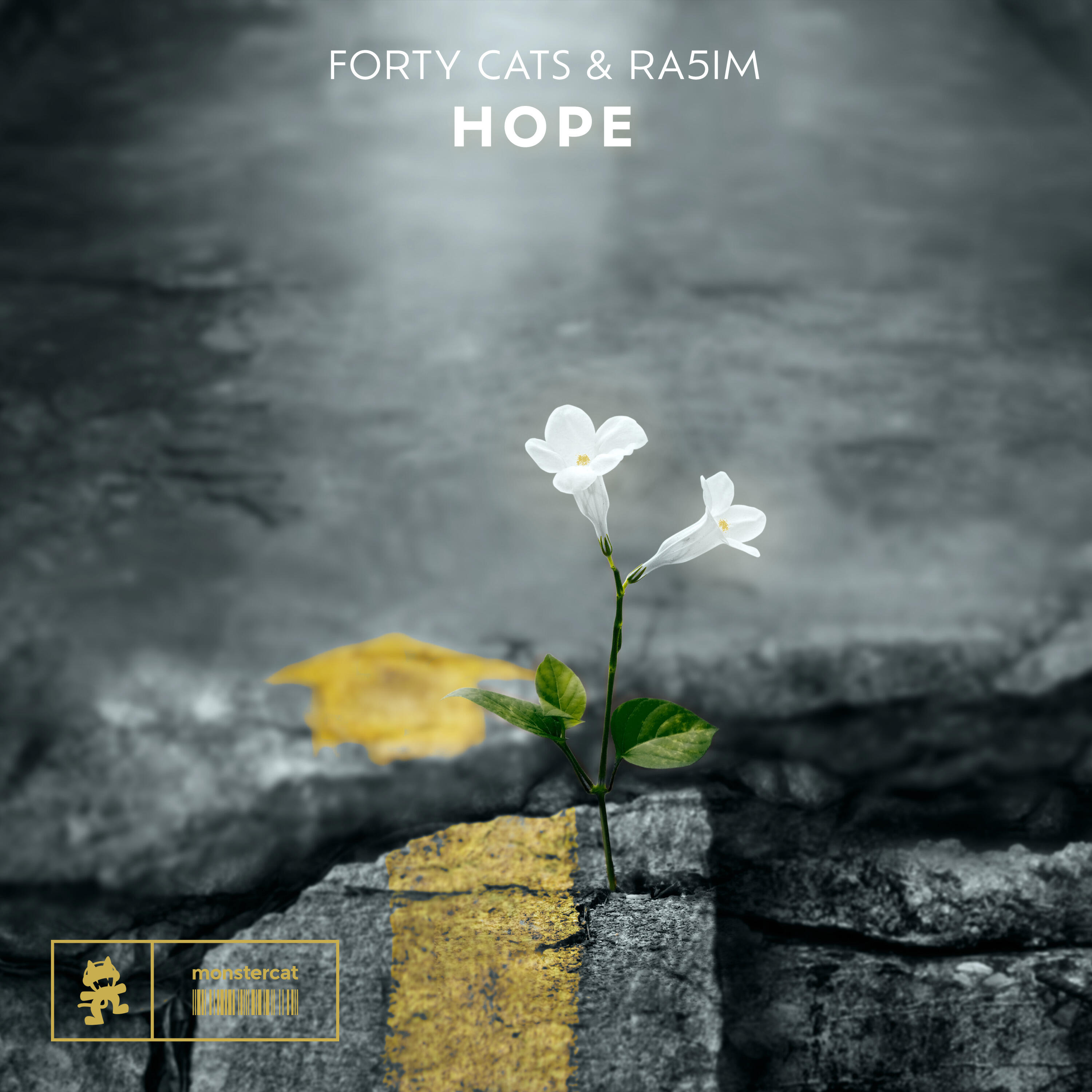 Релиз Hope