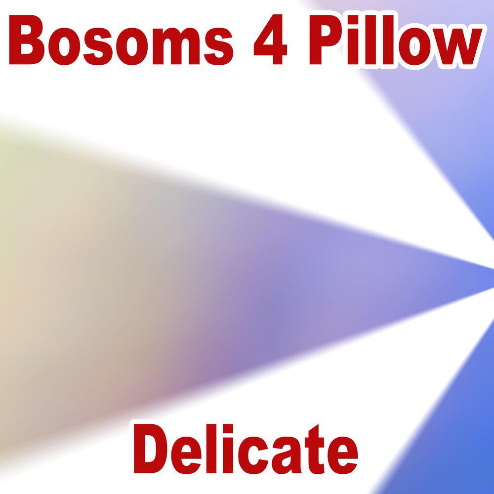 Bosoms 4 Pillow