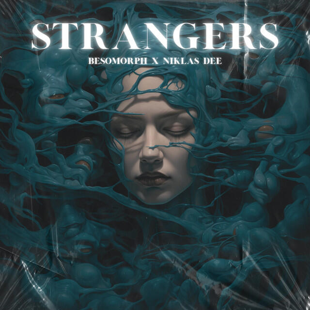 Скачать песню Niklas Dee, Besomorph, HALUNA - Strangers бесплатно в MP3 для Android и iOS