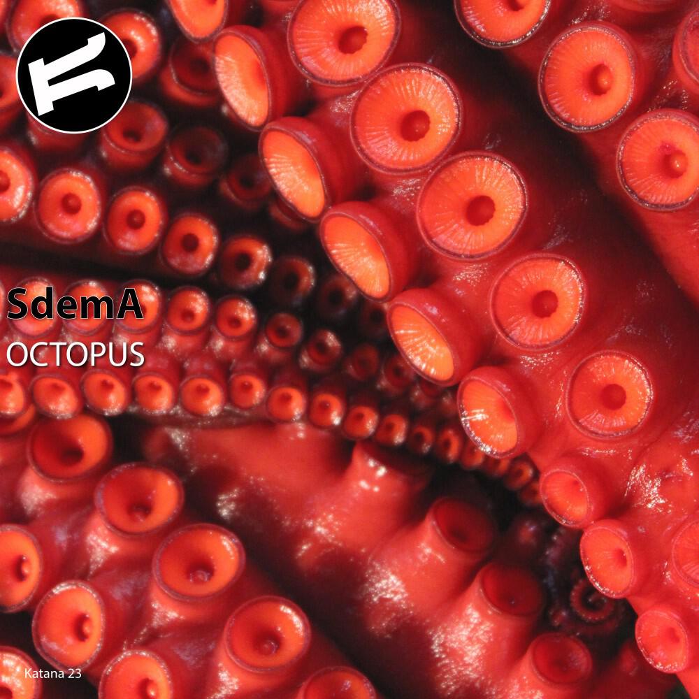 Постер альбома Octopus