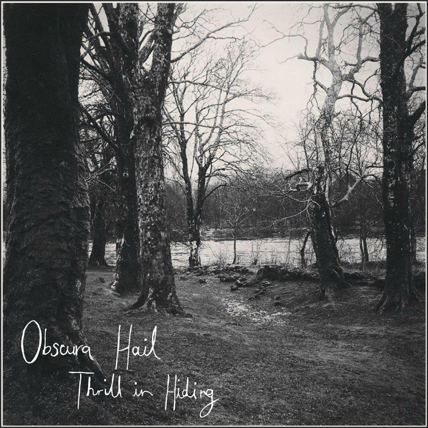 Релиз Thrill in Hiding