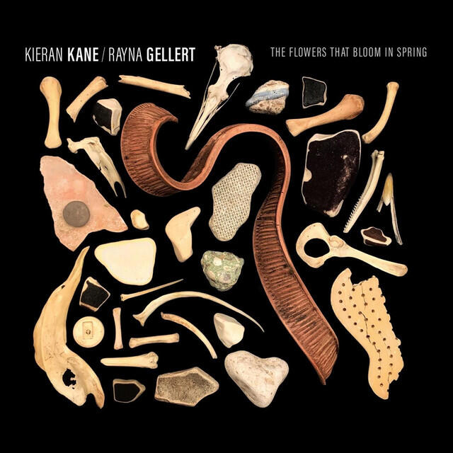 Rayna Gellert