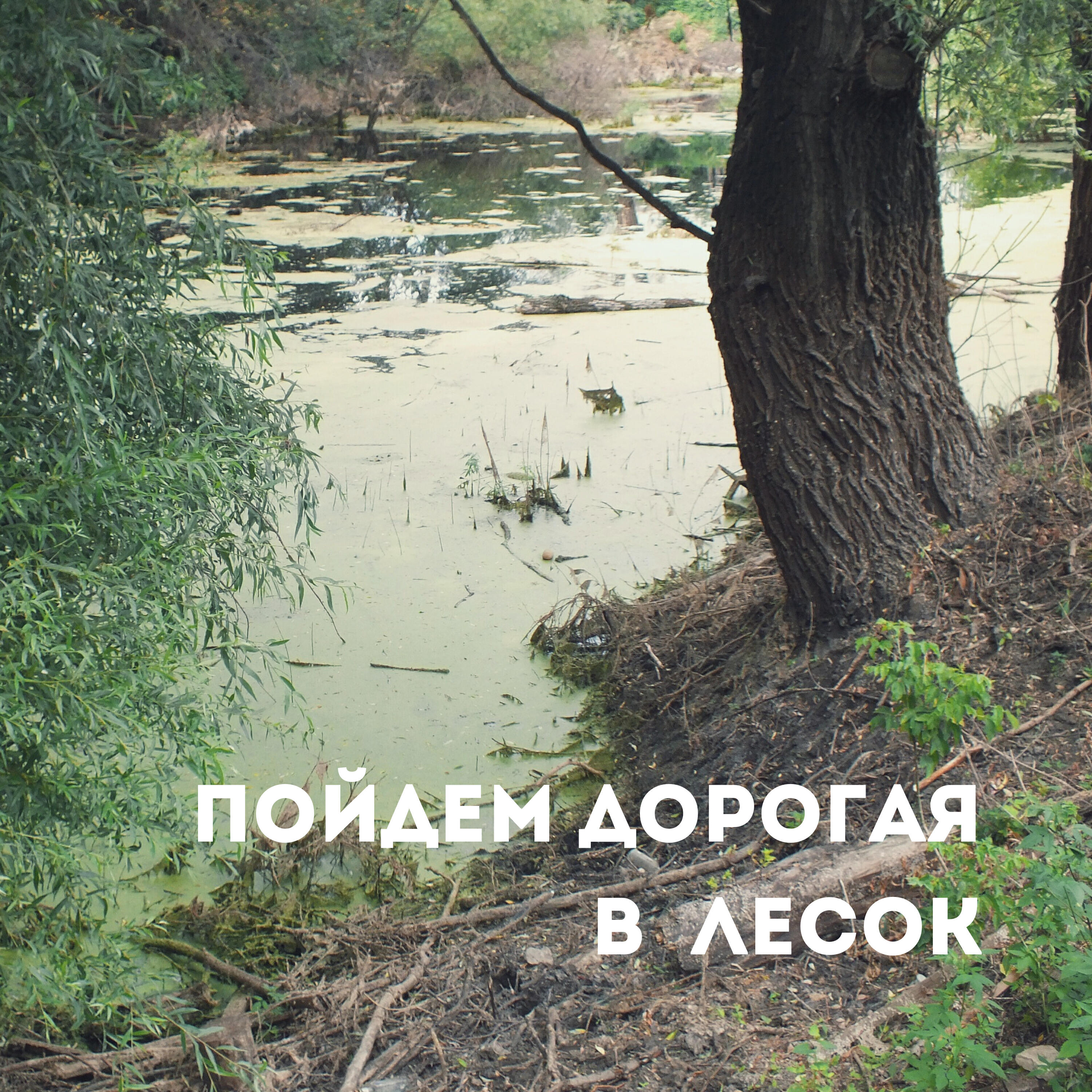 Релиз Пойдем дорогая в лесок