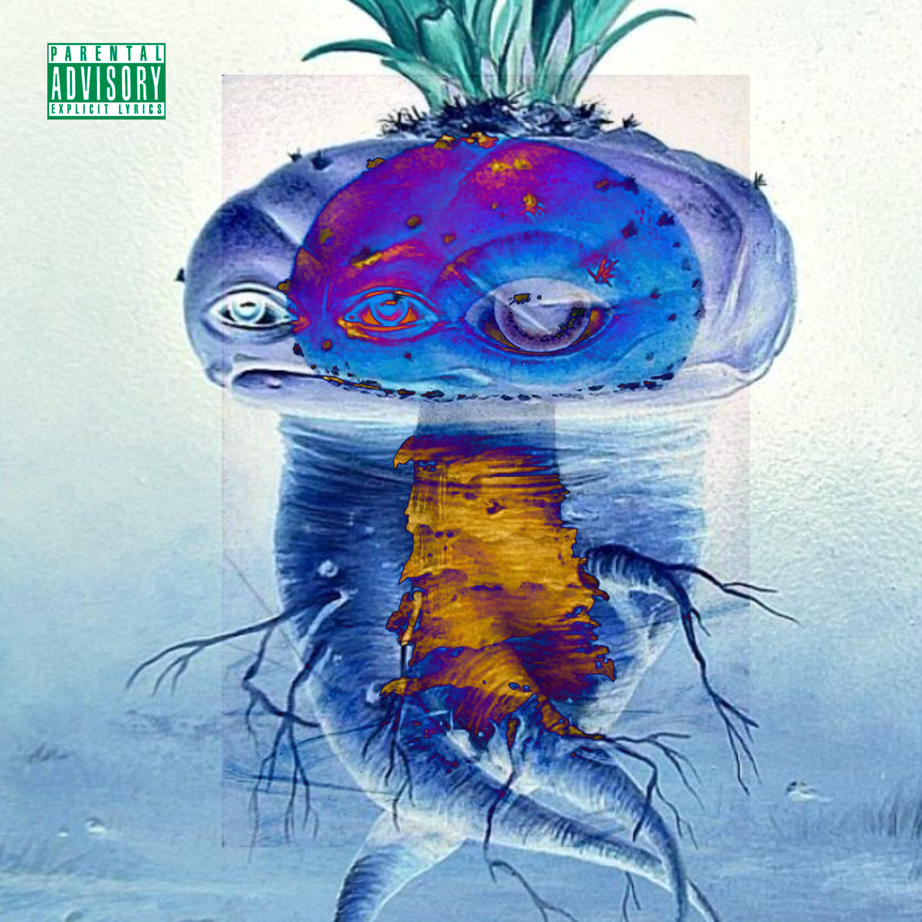 Nova Era de Aquarium