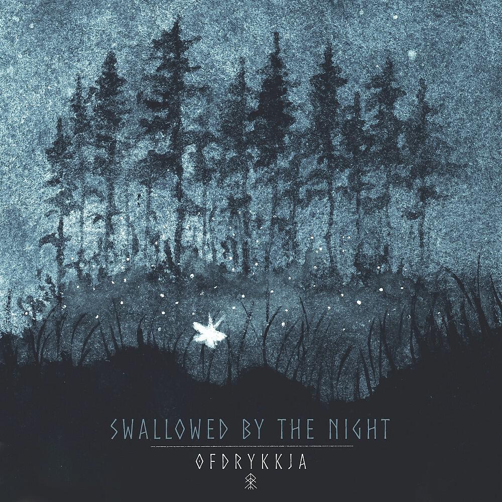 Постер альбома Swallowed by the Night