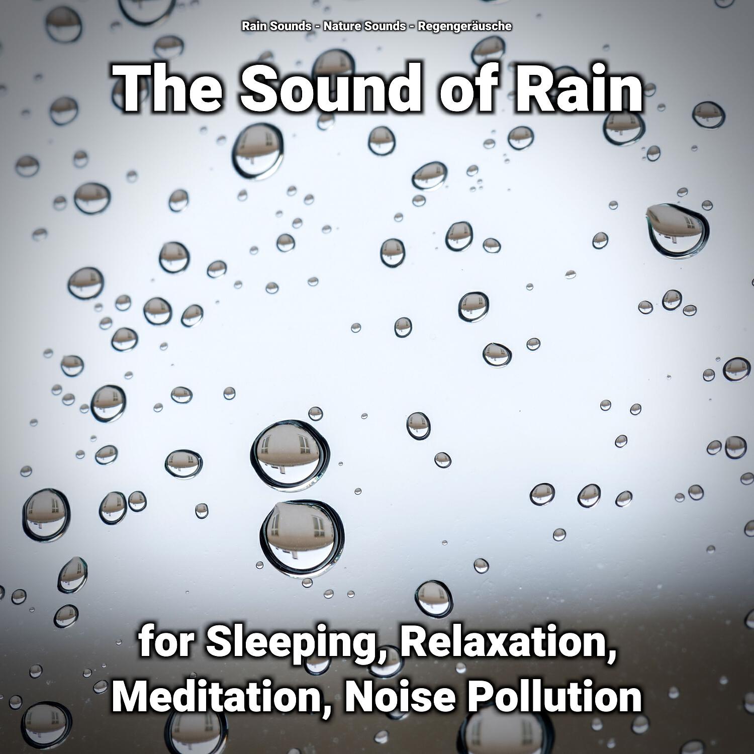 Постер альбома The Sound of Rain for Sleeping, Relaxation, Meditation, Noise Pollution