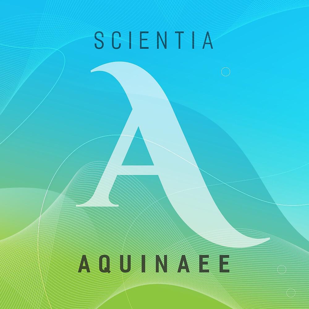 Релиз Scientia