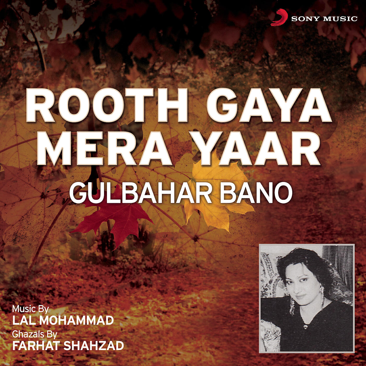 Релиз Rooth Gaya Mera Yaar