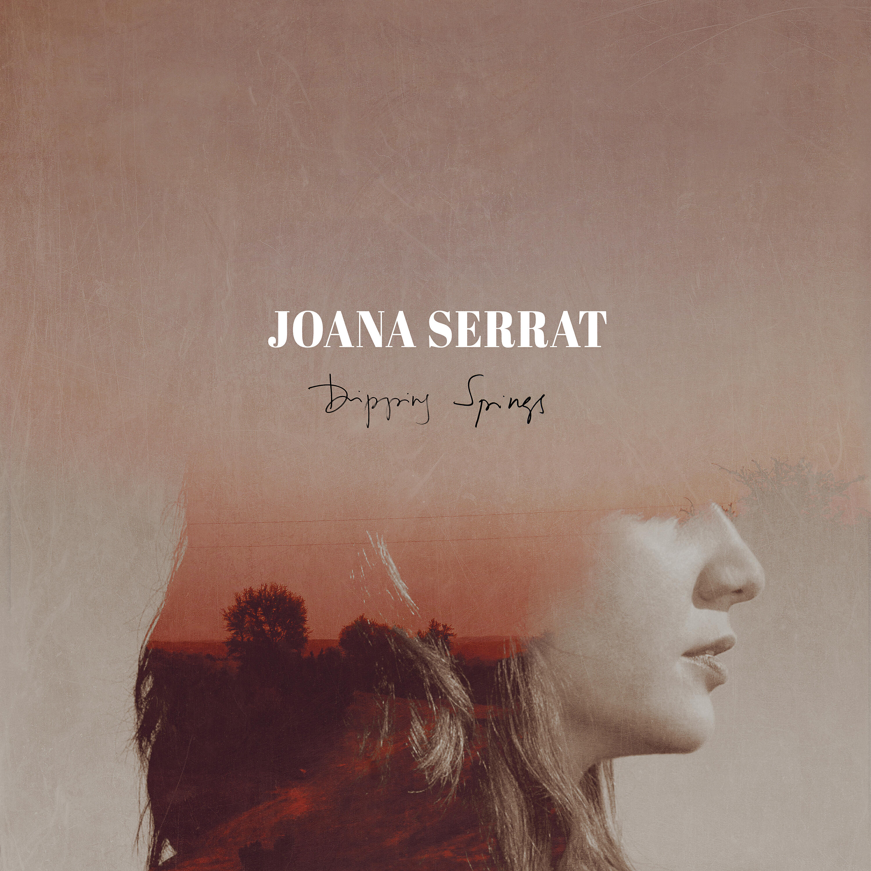 Релиз Trapped in the Fog