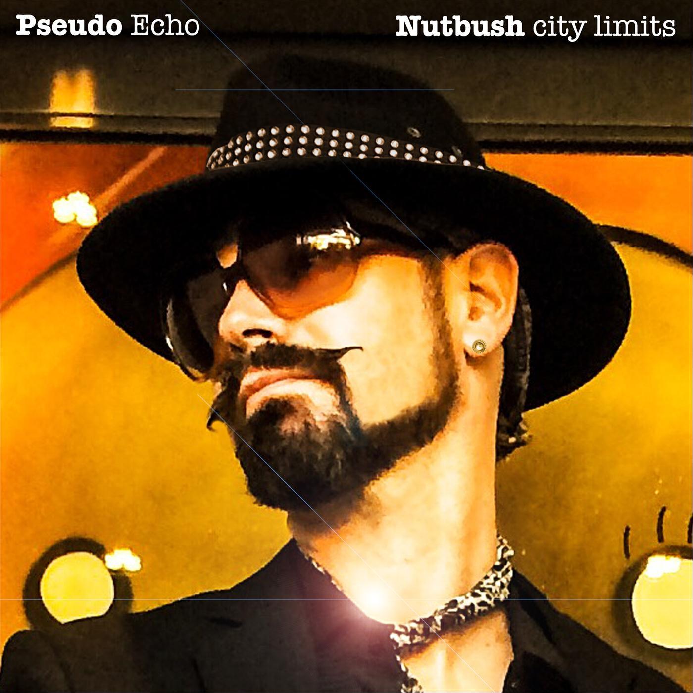 Релиз Nutbush City Limits