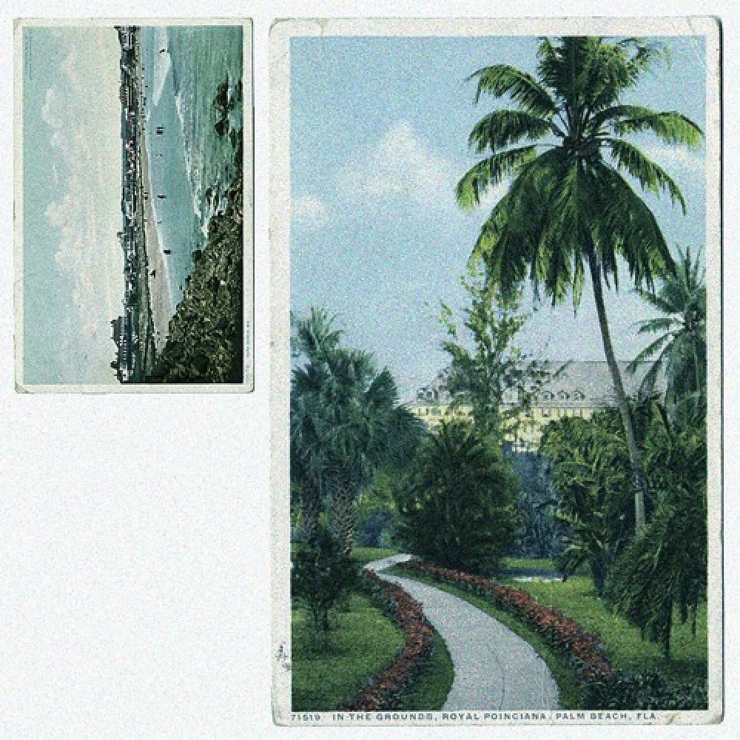 Релиз Palms