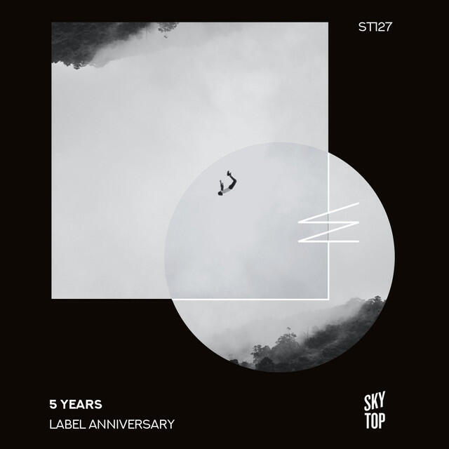 Релиз SkyTop 5 Years Label Anniversary (DJ Mix)