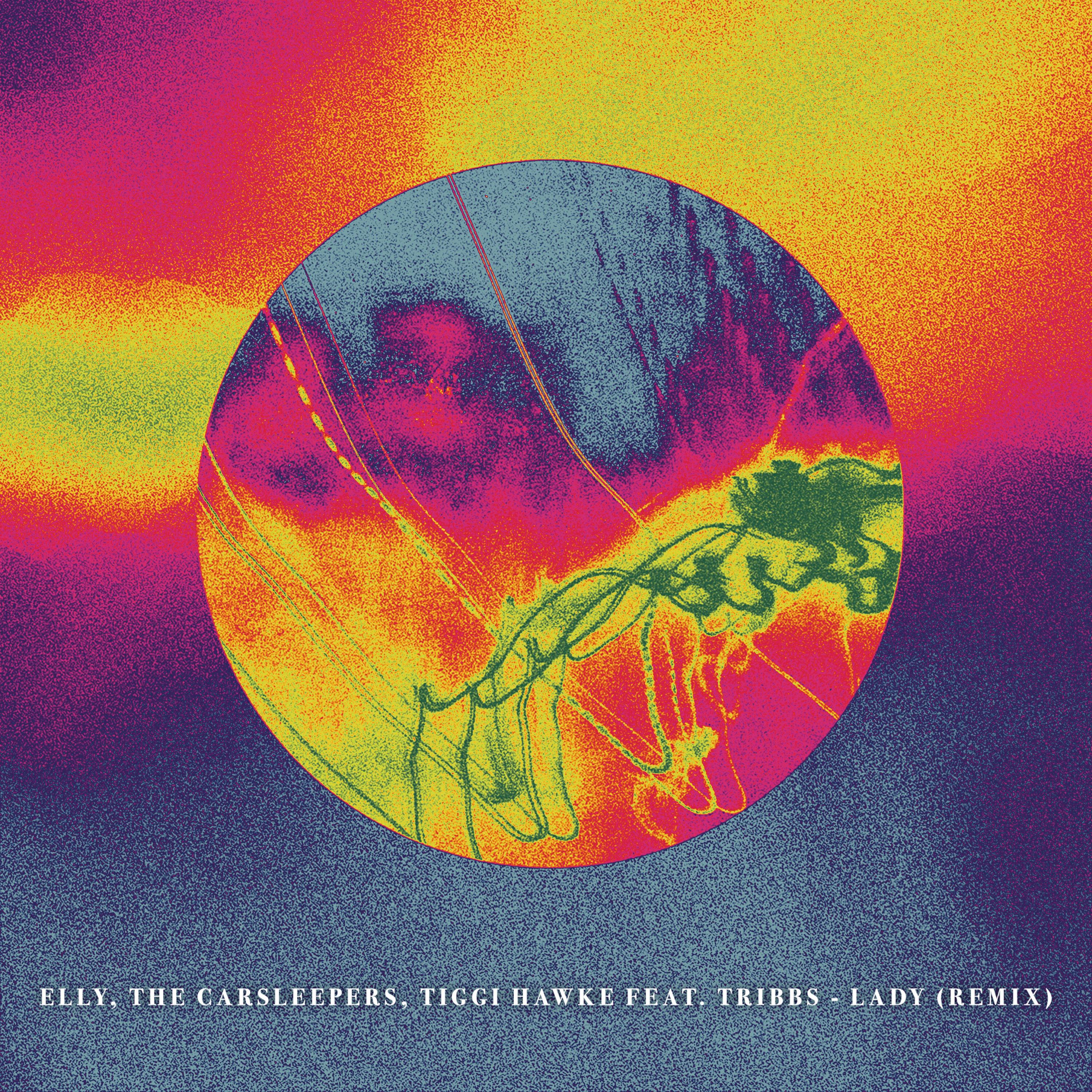 Скачать песню Elly, The Carsleepers, Tiggi Hawke, Tribbs - Lady (Remix) бесплатно в MP3 для Android и iOS