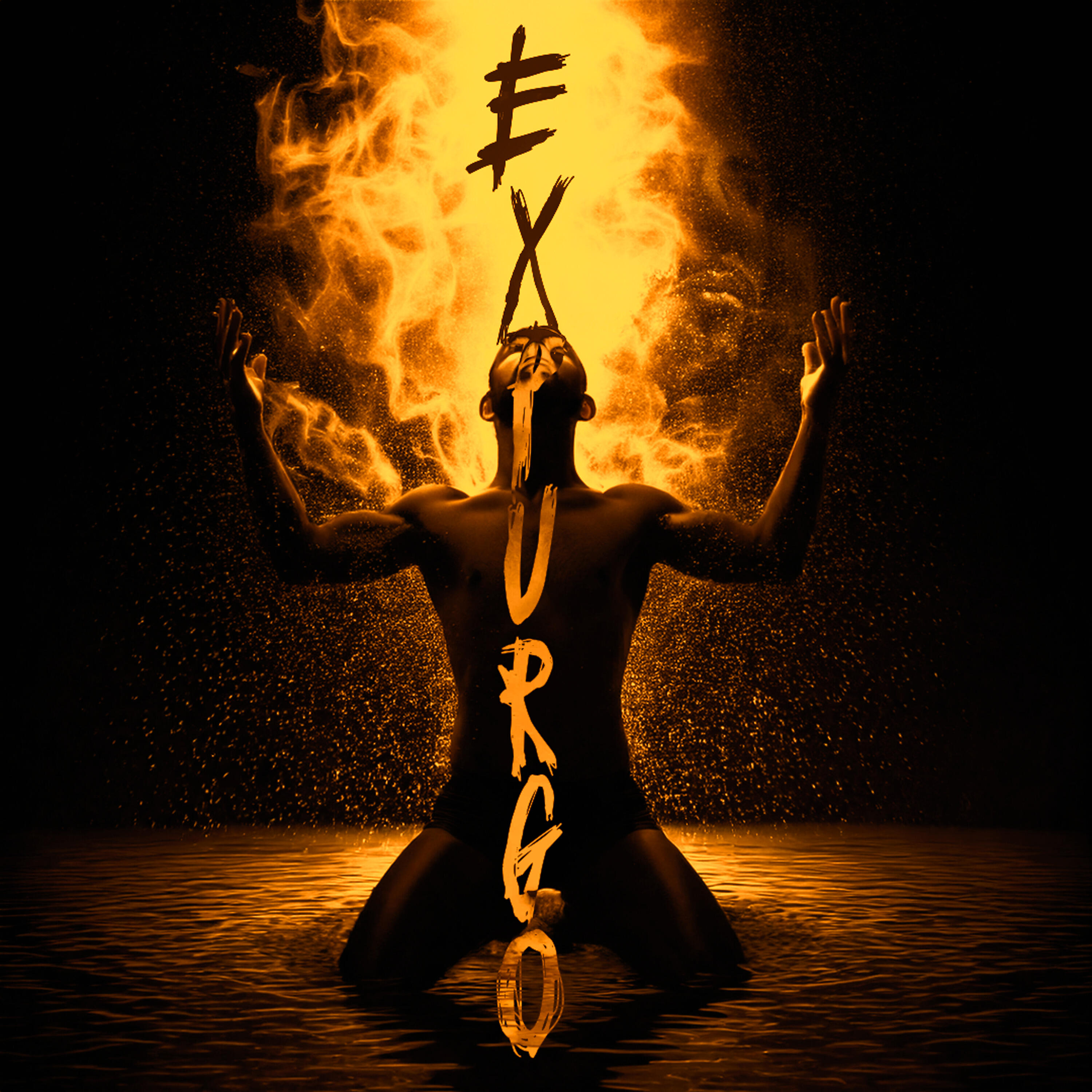 Релиз Expurgo