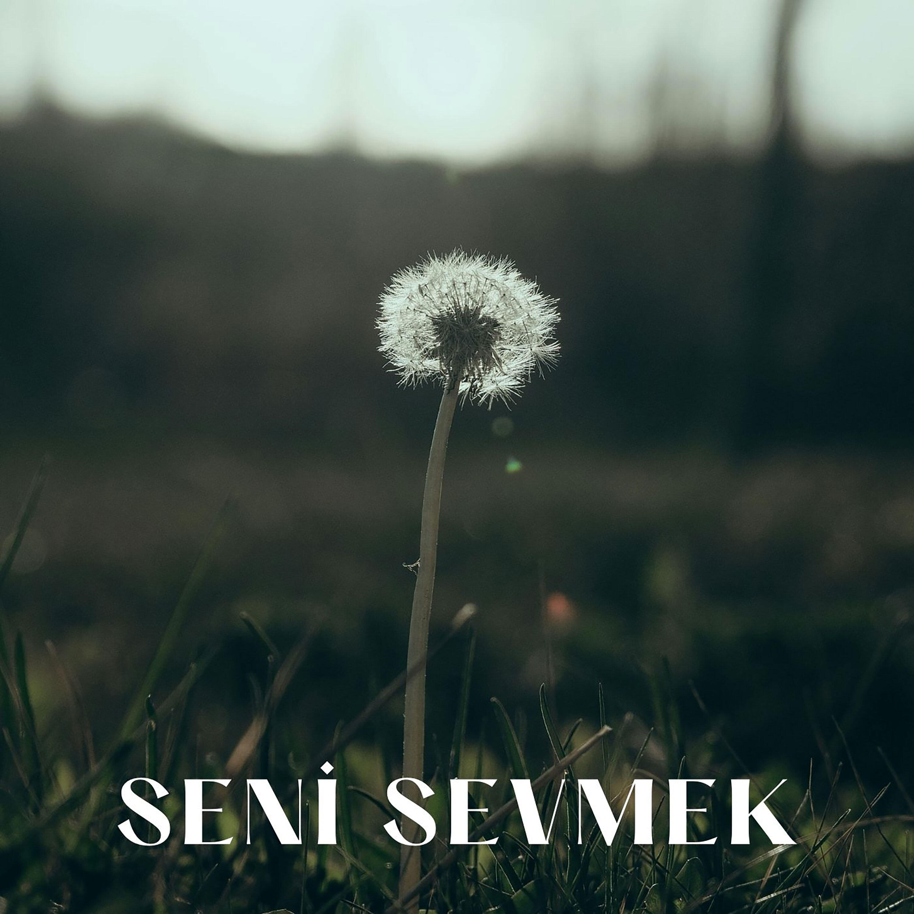 Релиз Seni Sevmek