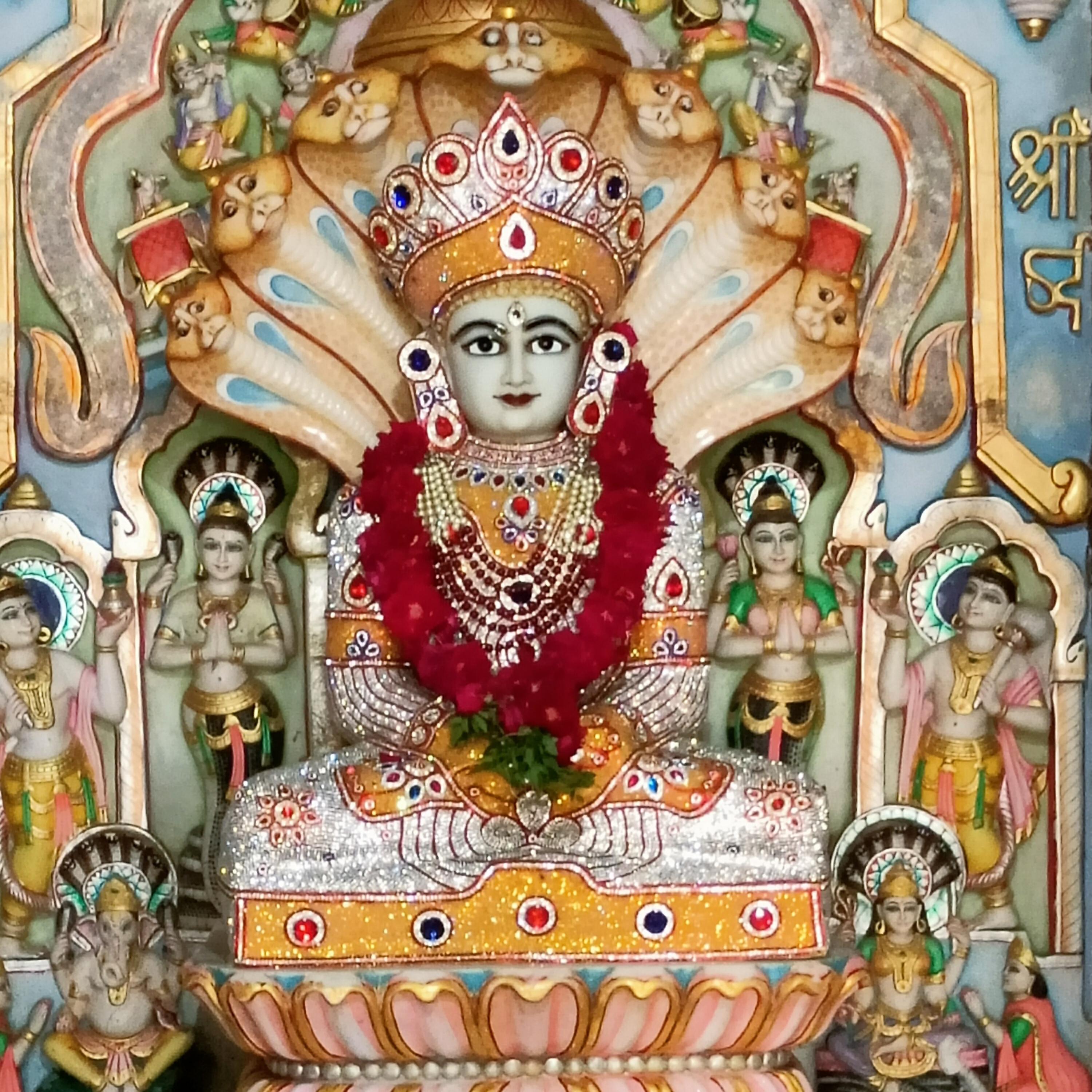 Narendra Salecha