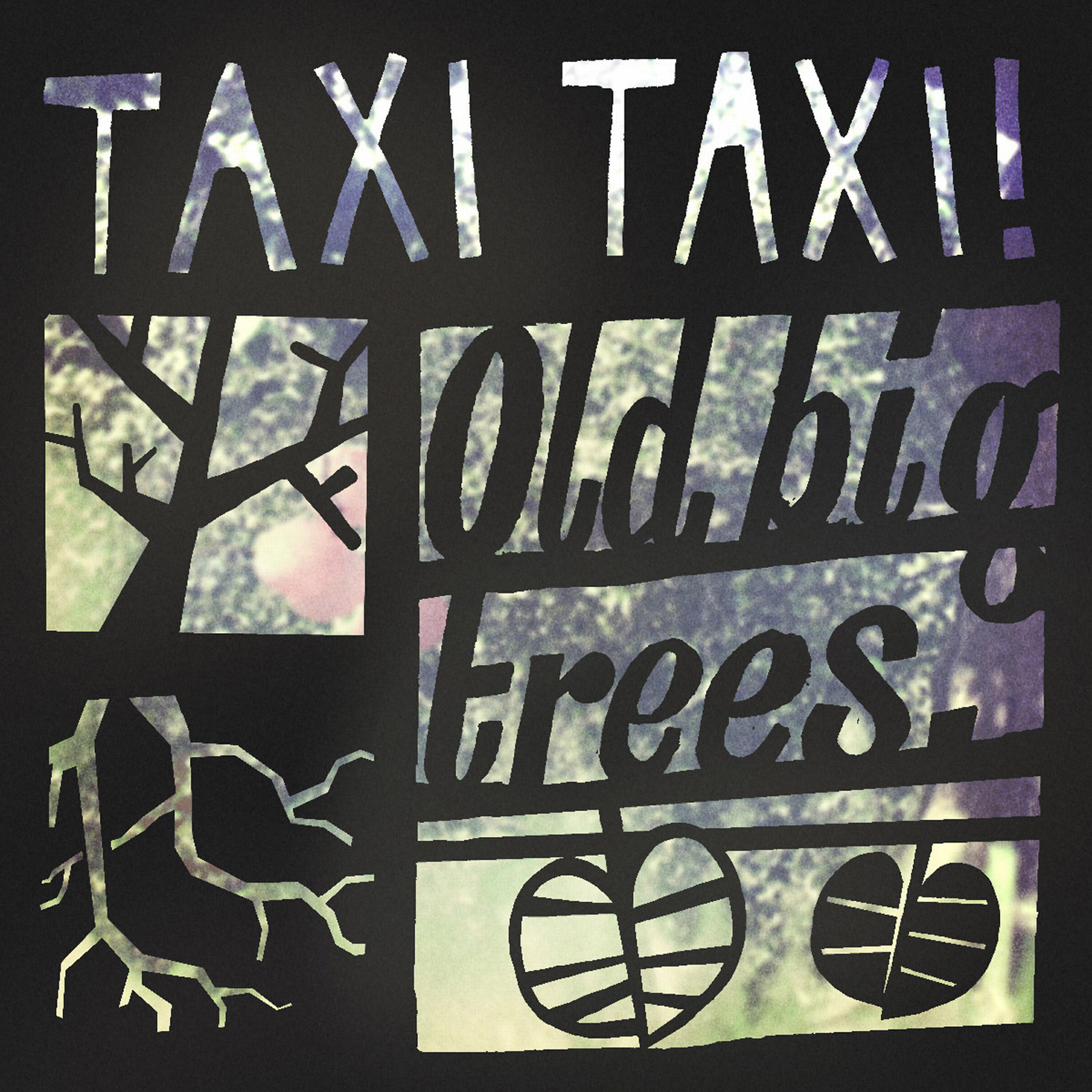 Релиз Old Big Trees / True Love Will Find You in the End