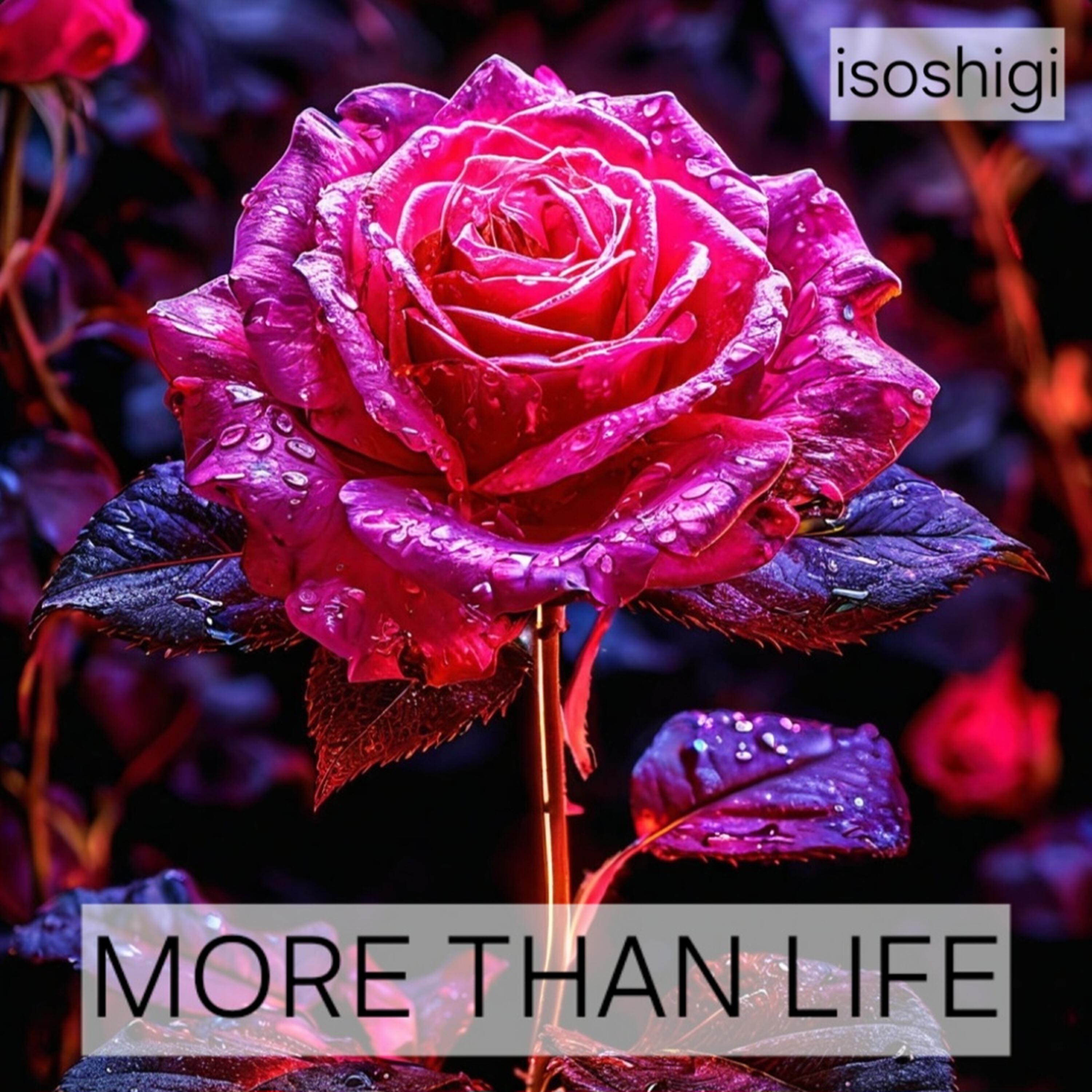 Релиз More than Life