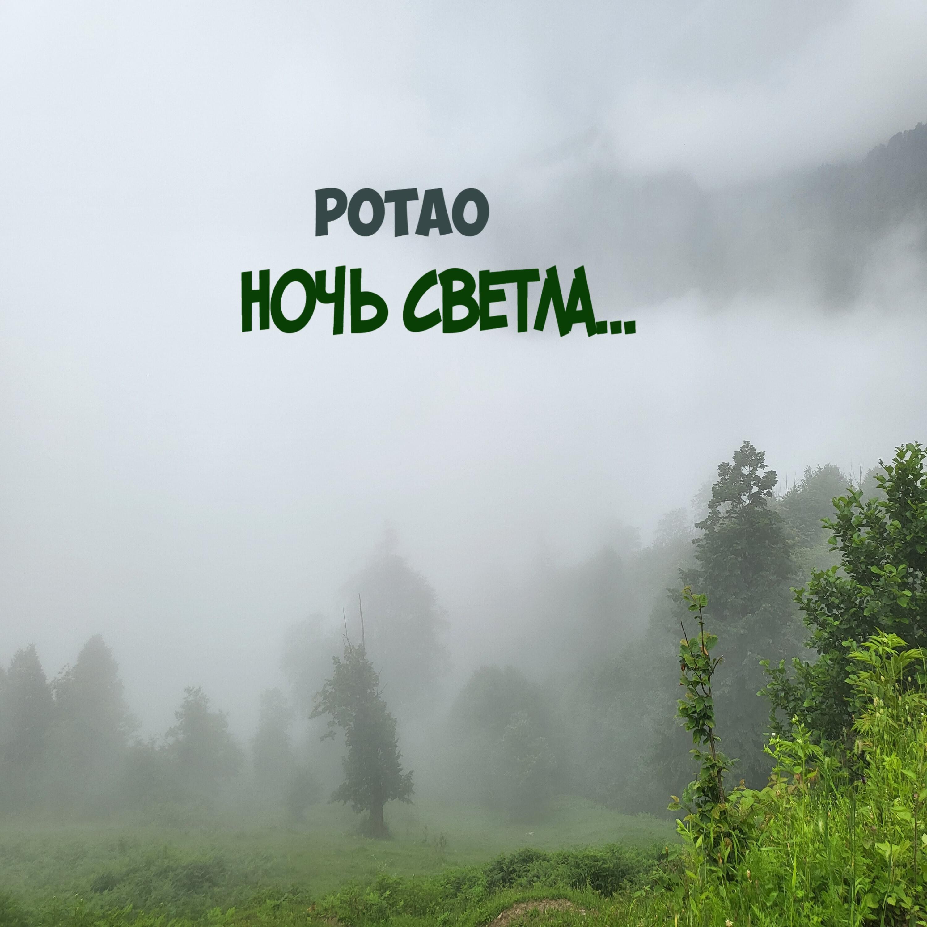 Релиз Ночь светла...