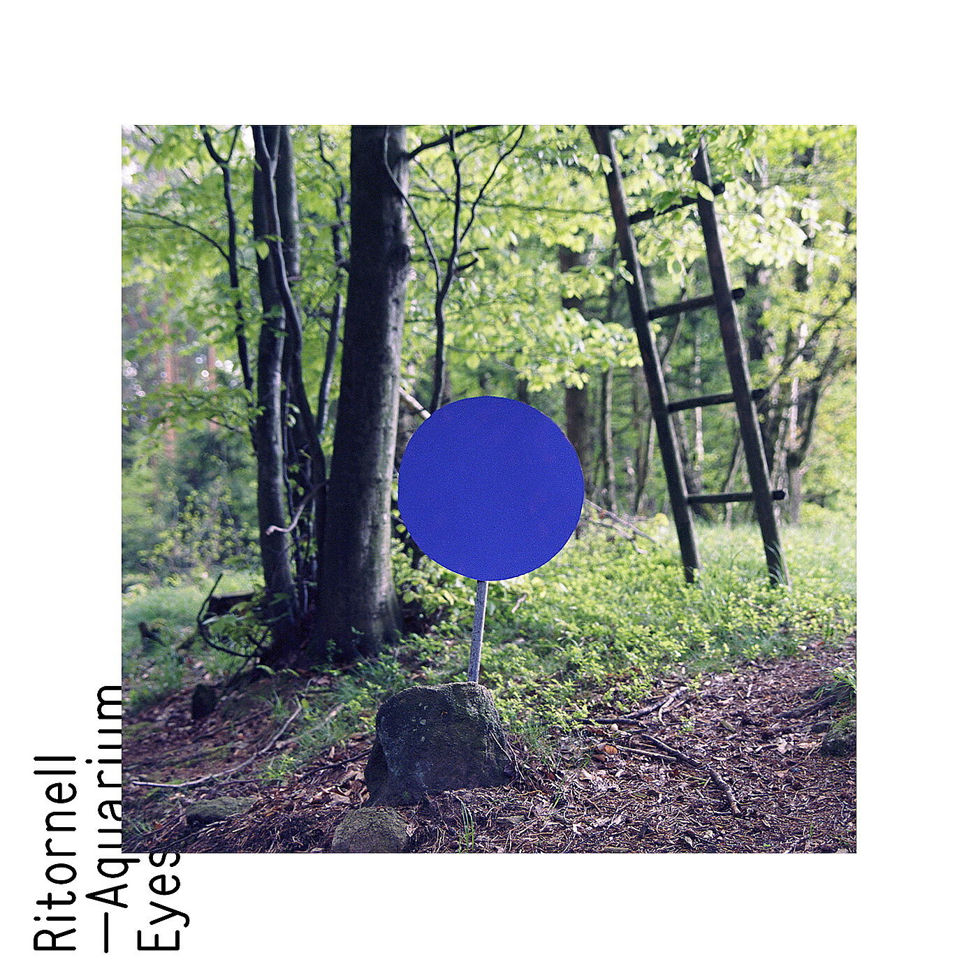 Релиз Aquarium Eyes