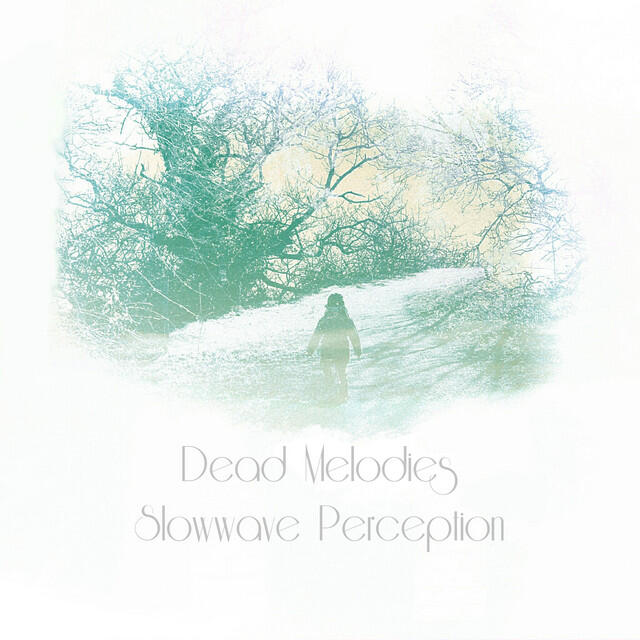 Релиз Slowwave Perception