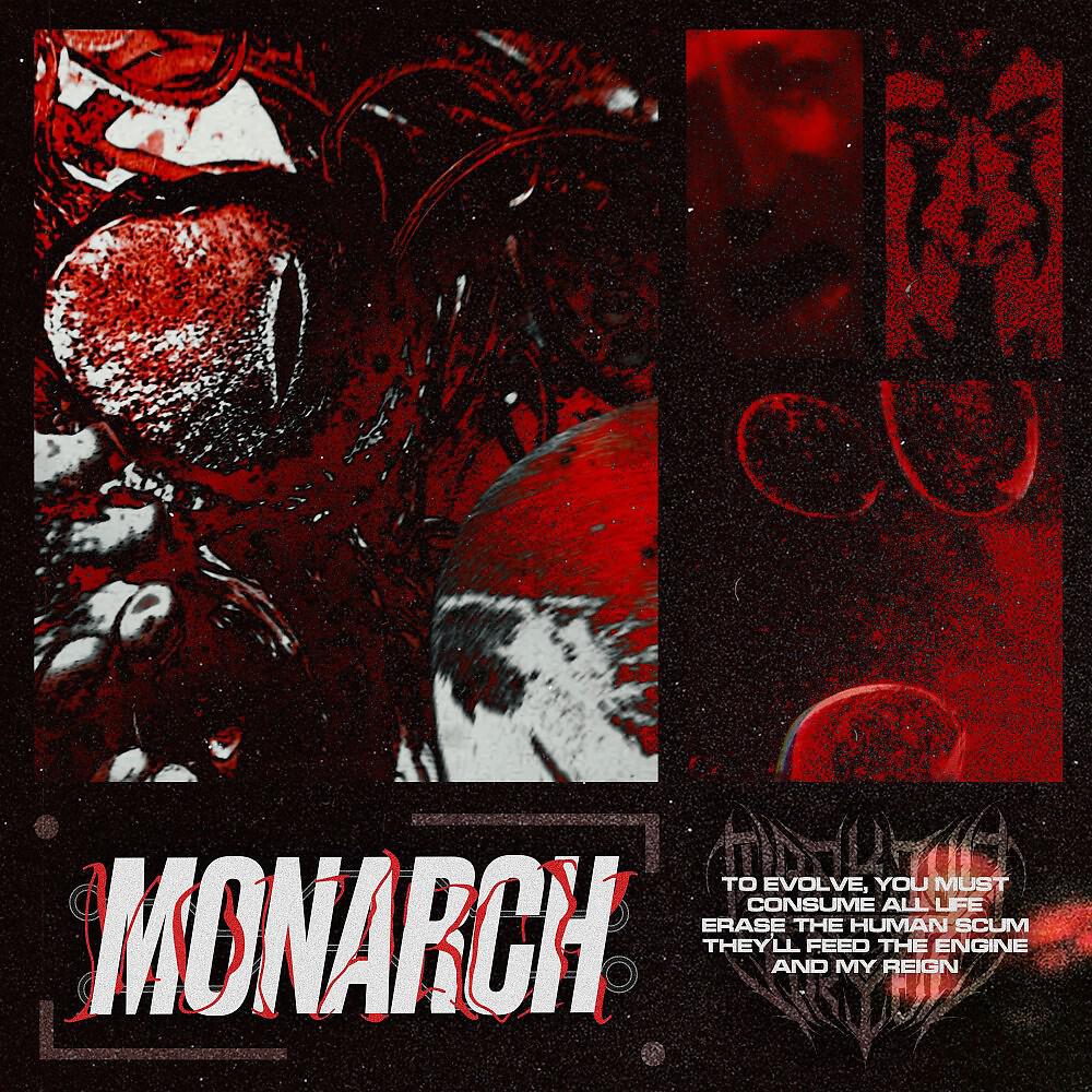 Релиз Monarch