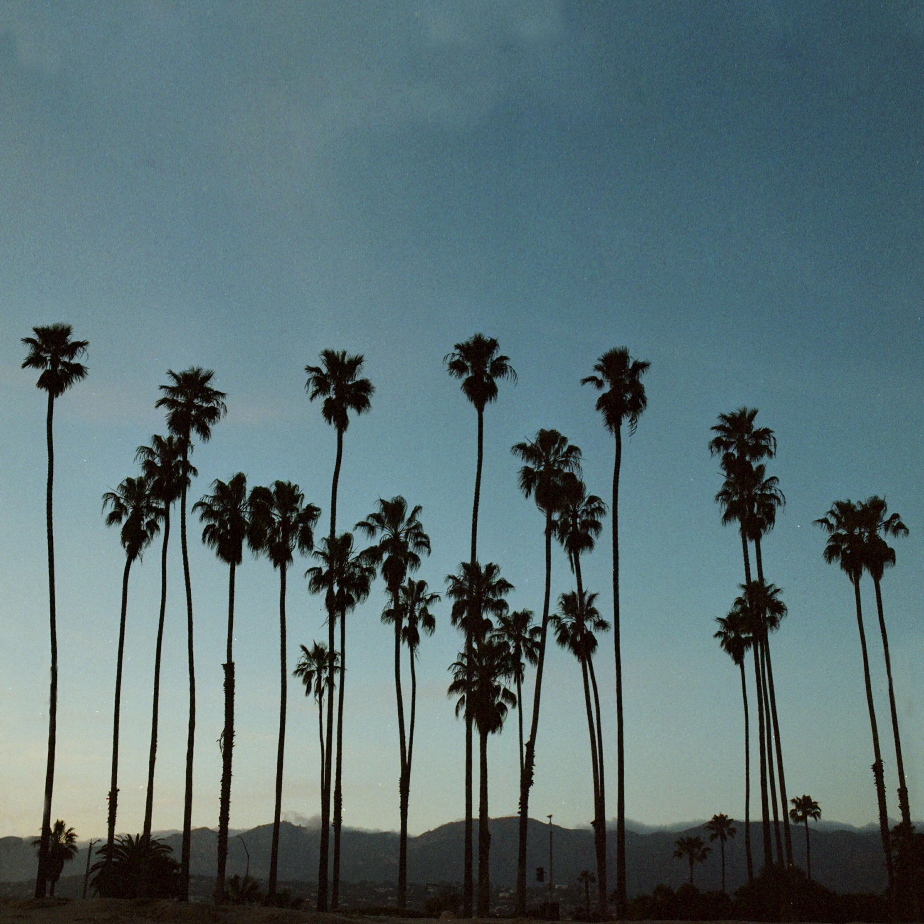 Релиз Santa Barbara