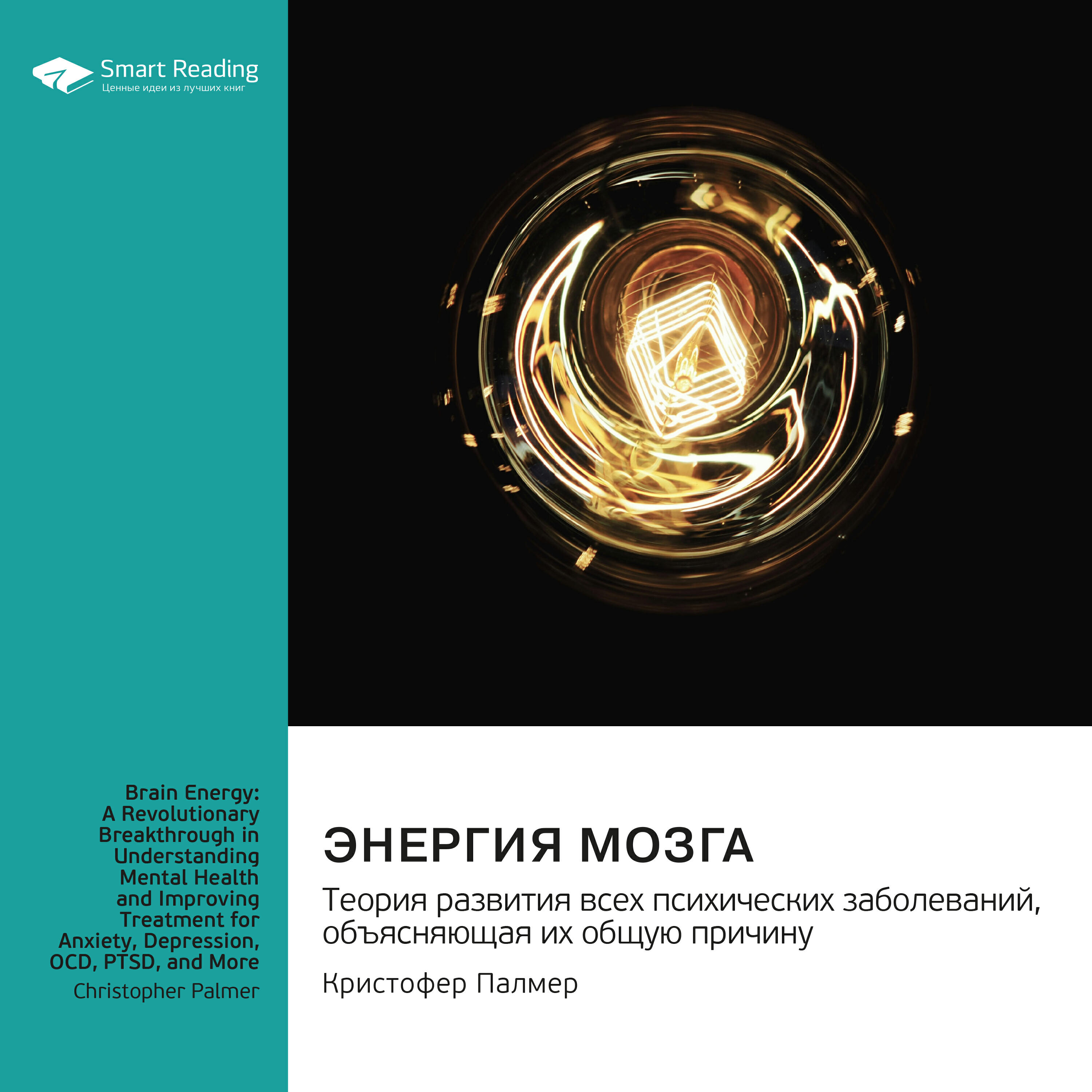Книга Энергия мозга. Теория развития всех психических заболеваний, объясняющая их общую причину. Кристофер Палмер. Саммари