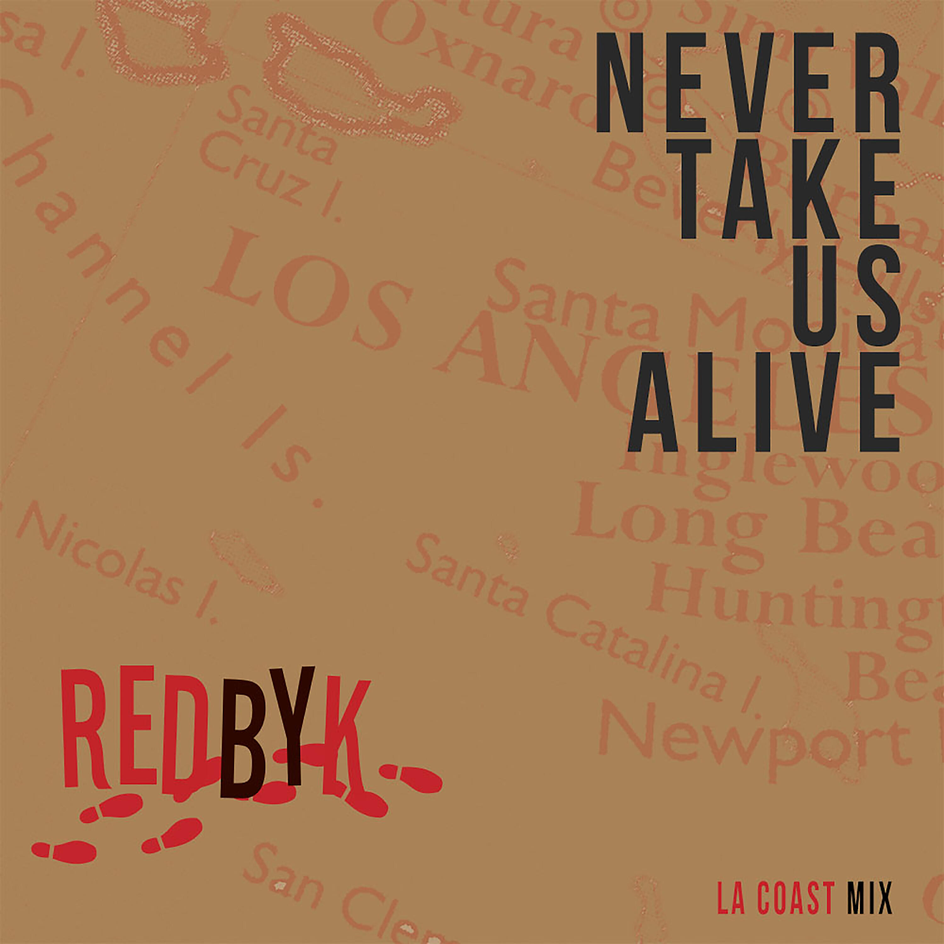 Релиз Never Take Us Alive