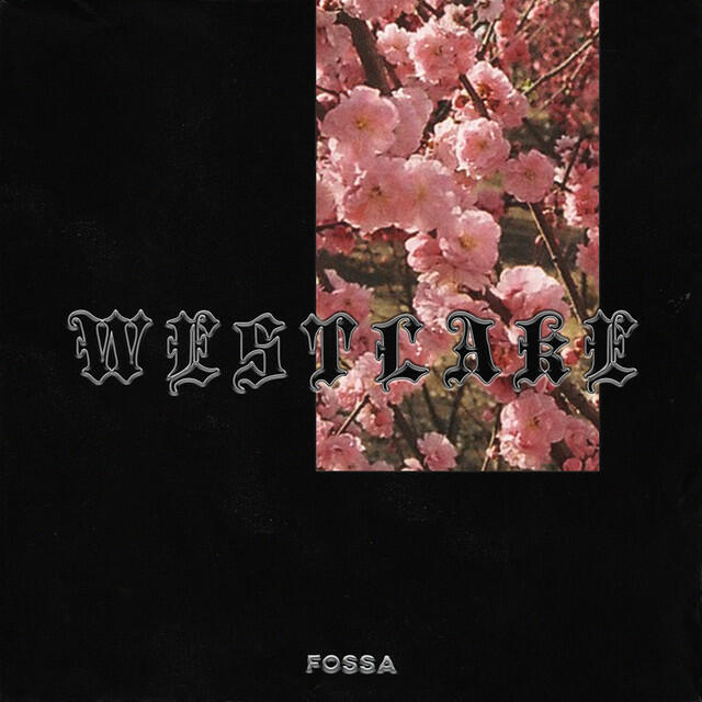 Релиз Westlake