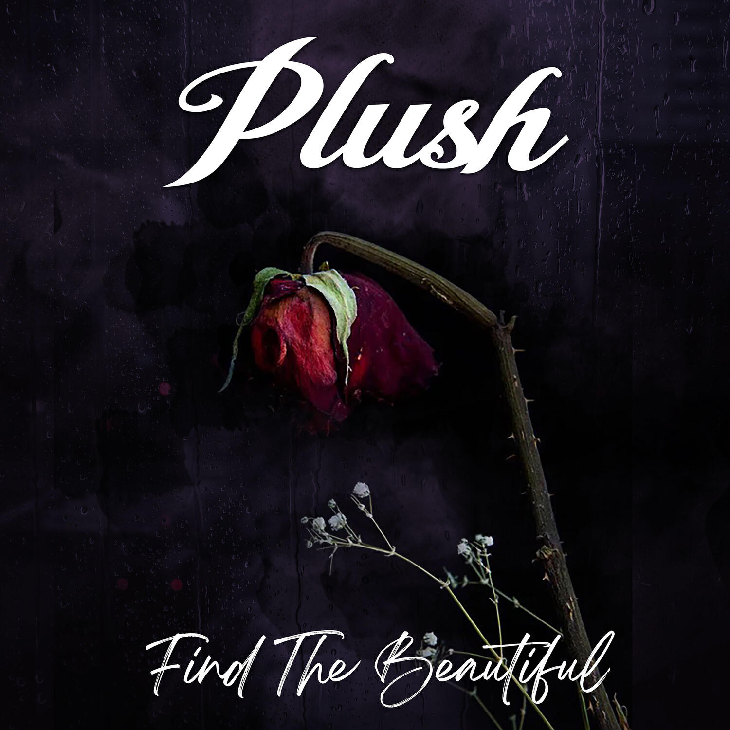 Релиз Find The Beautiful