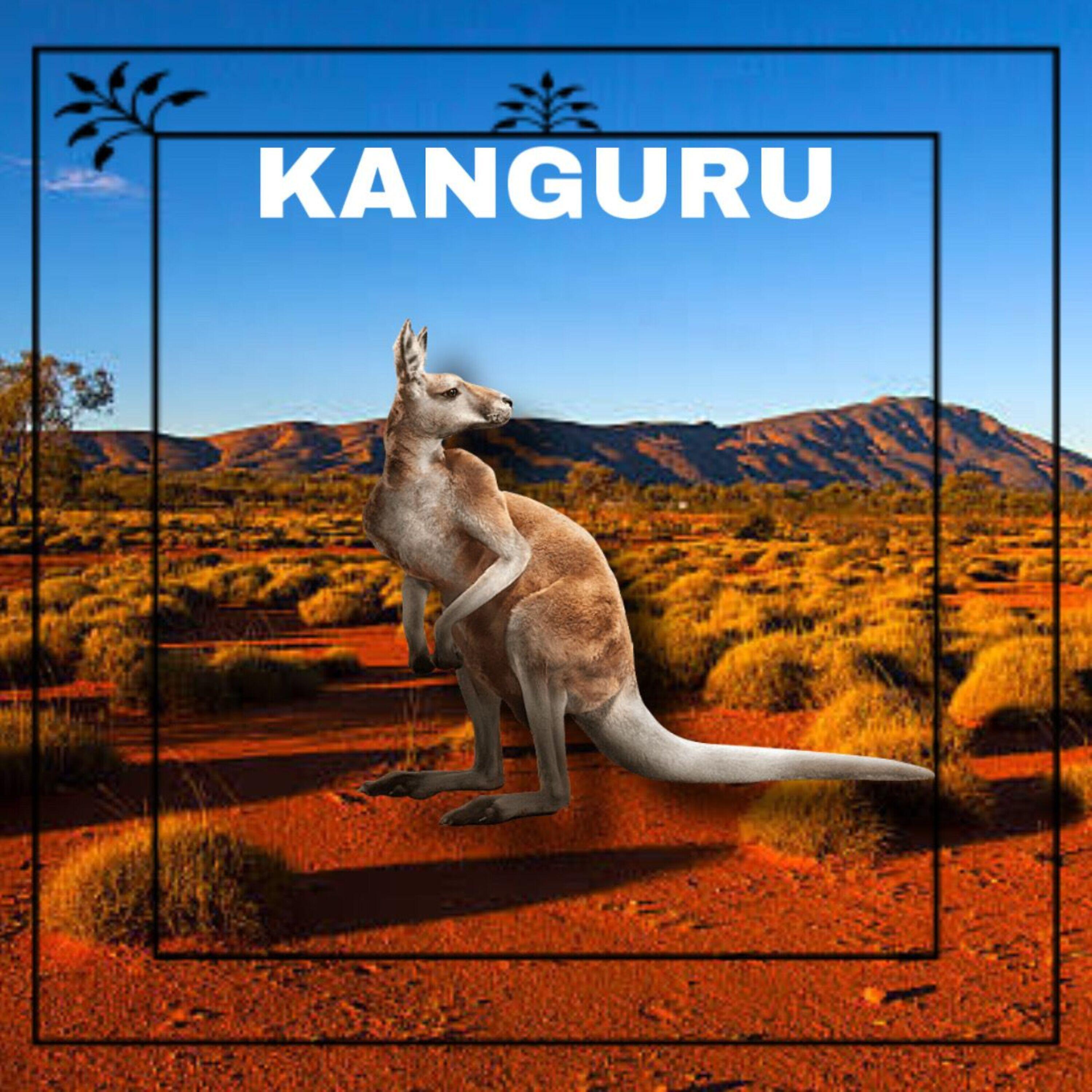 Релиз Kanguru