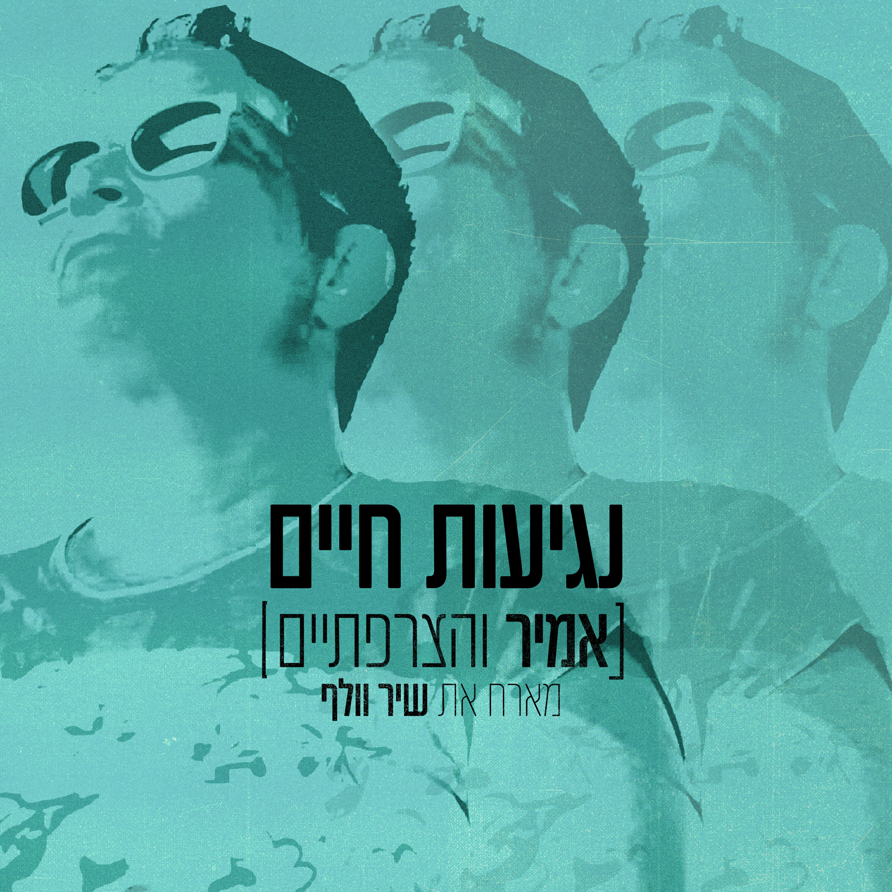 אמיר והצרפתים