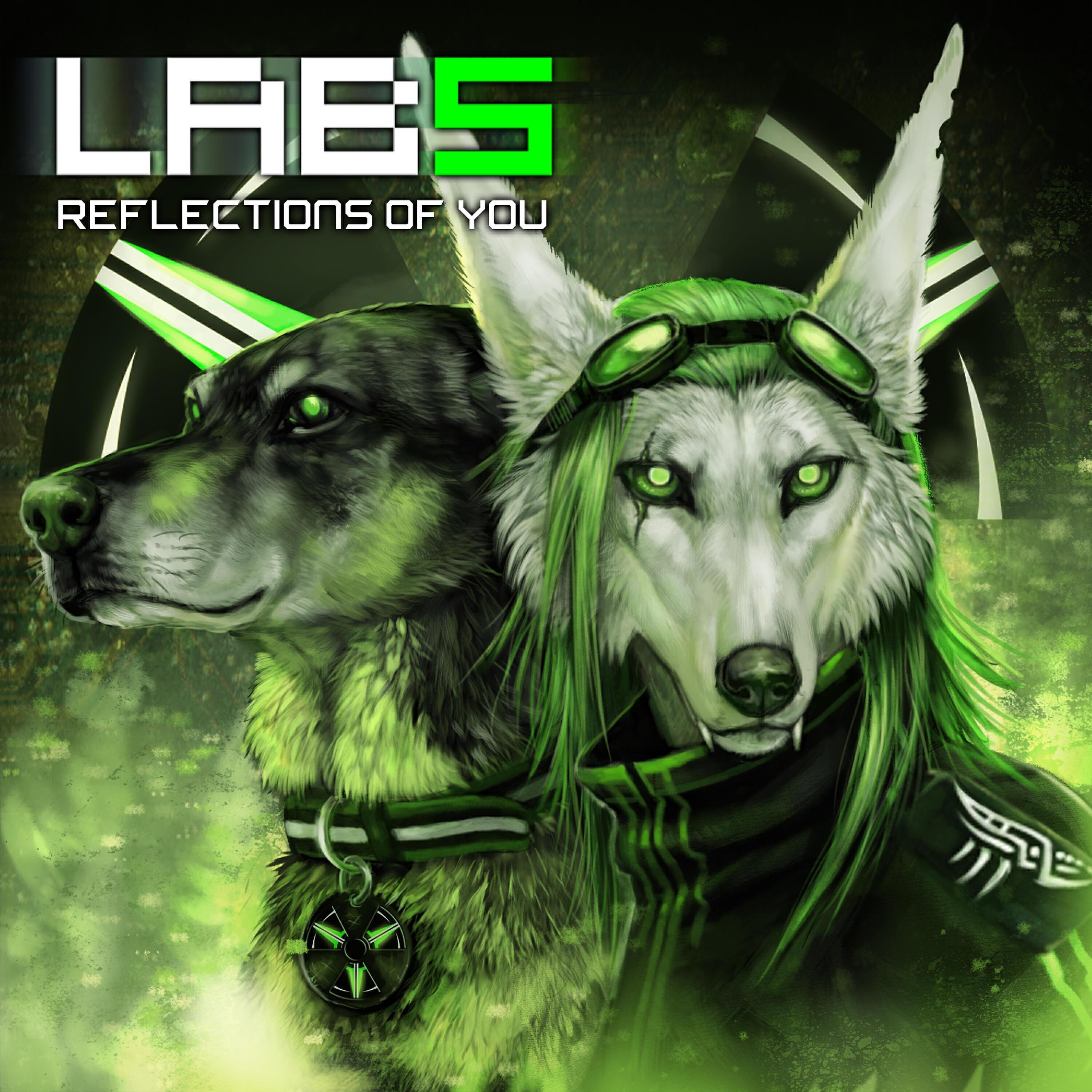 Laboratory5