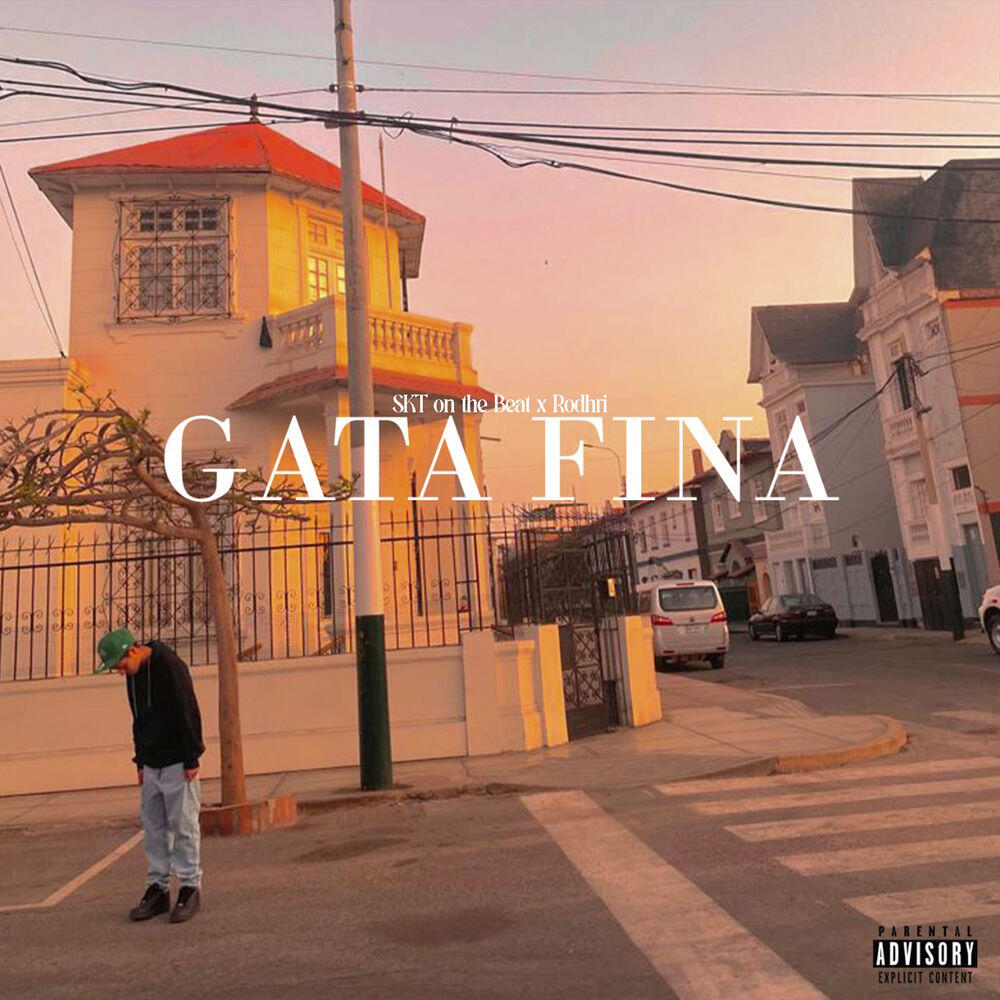 Релиз Gata fina