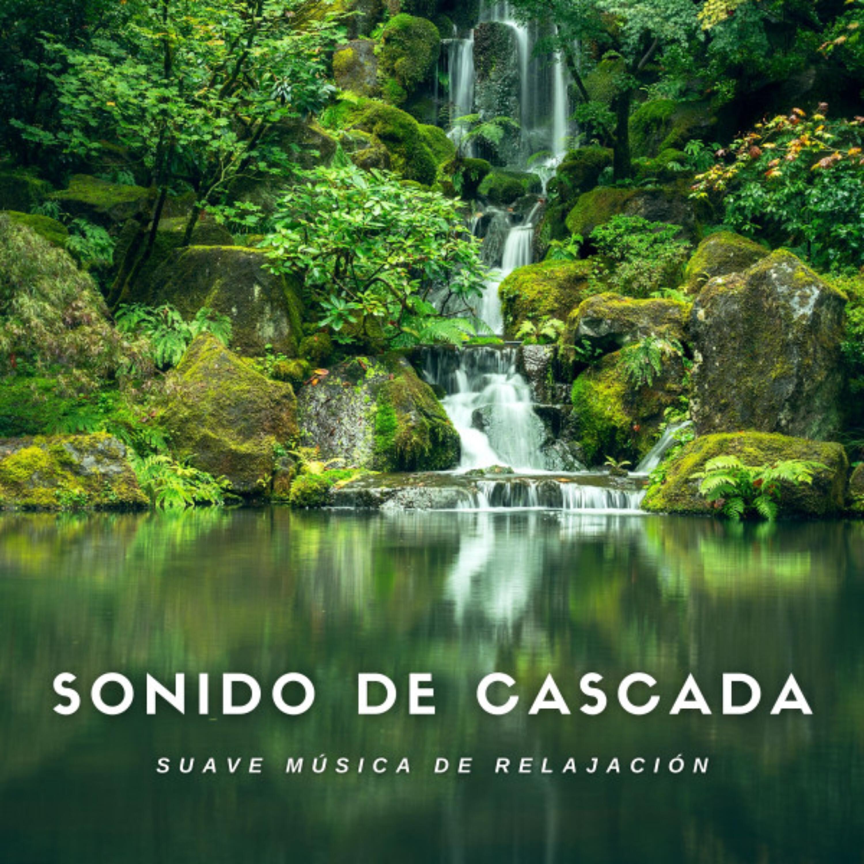 Релиз Sonido de Cascada Suave Musica de Relajacion