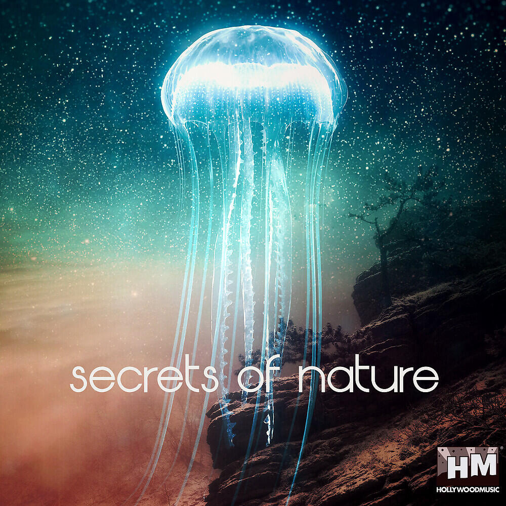 Релиз Secrets of Nature