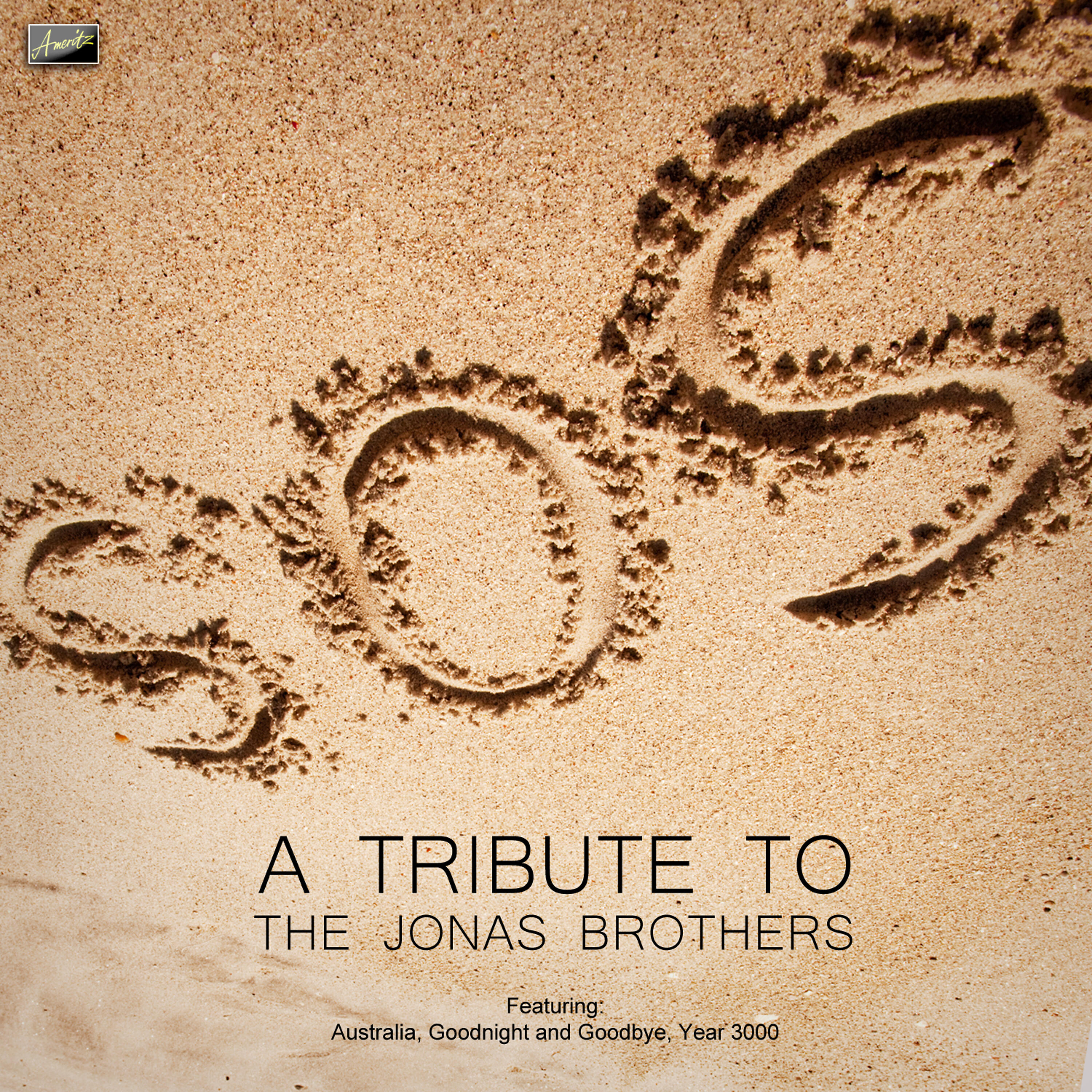 Релиз S.O.S  - A Tribute to The Jonas Brothers