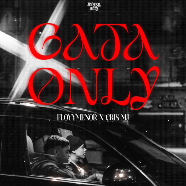 Постер альбома Gata Only