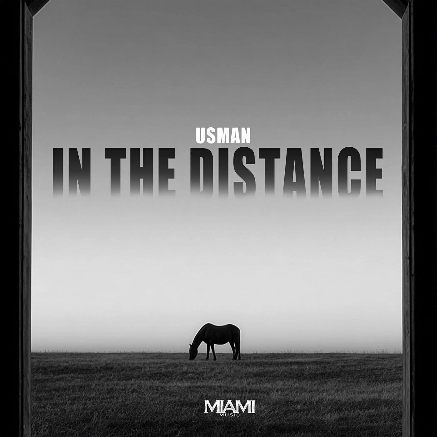 Релиз In the Distance