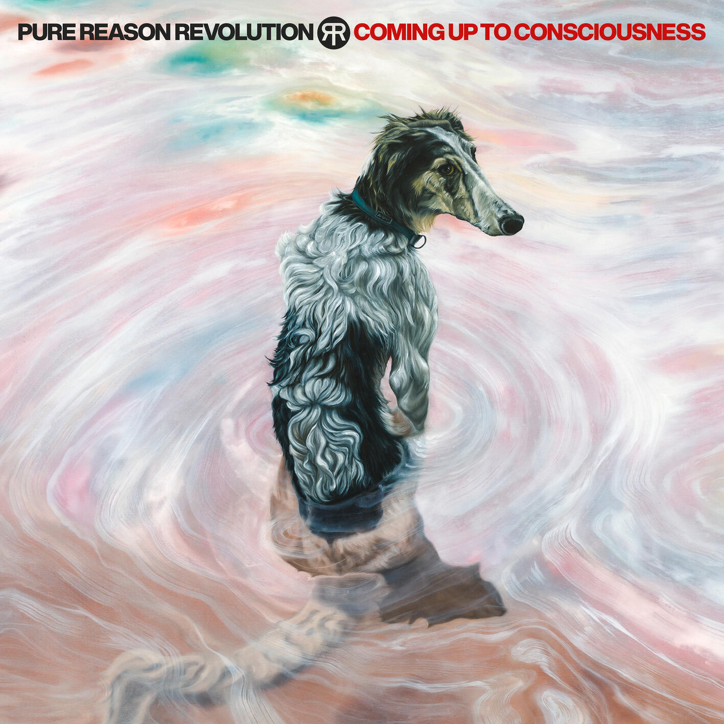 Релиз Coming Up To Consciousness