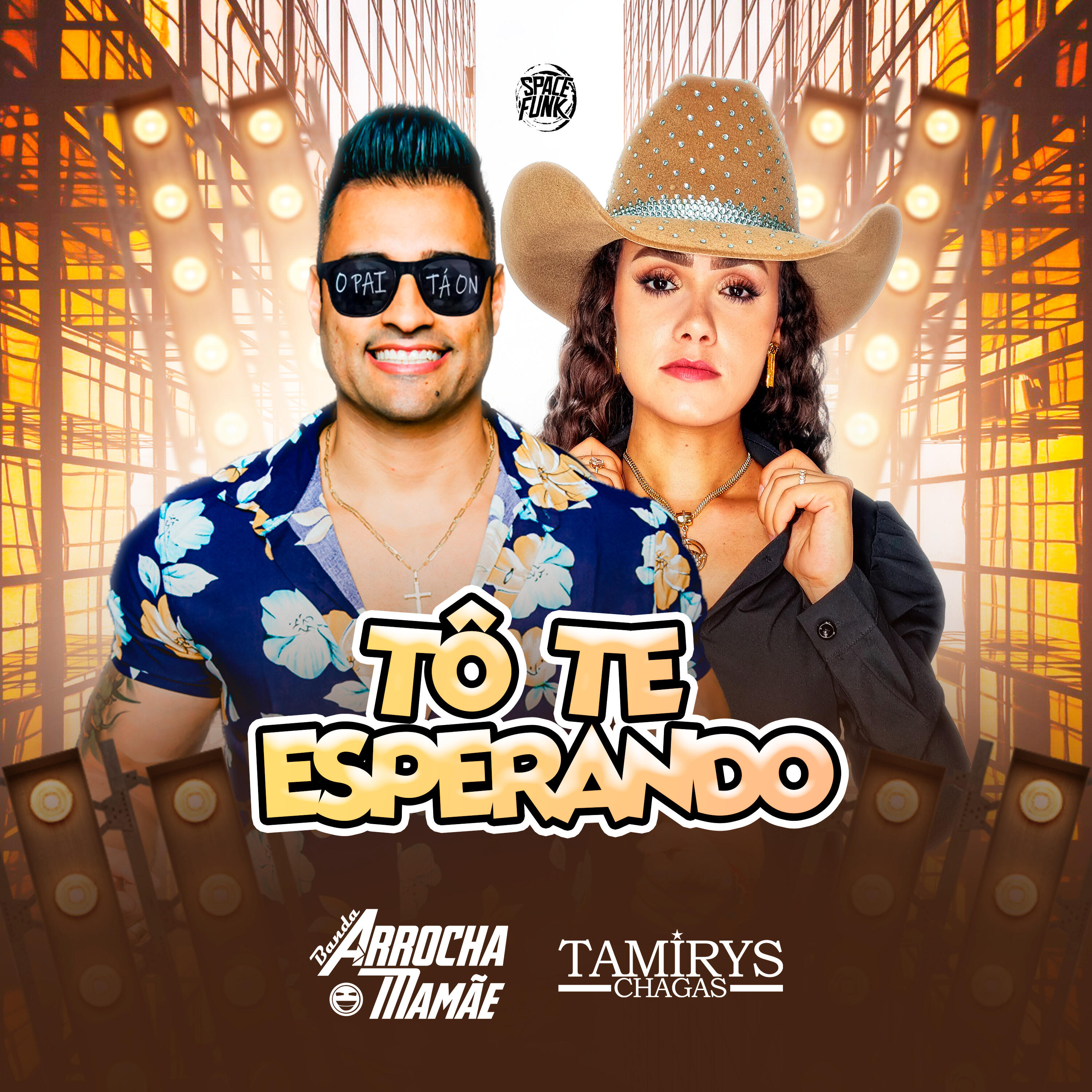Релиз Tô Te Esperando